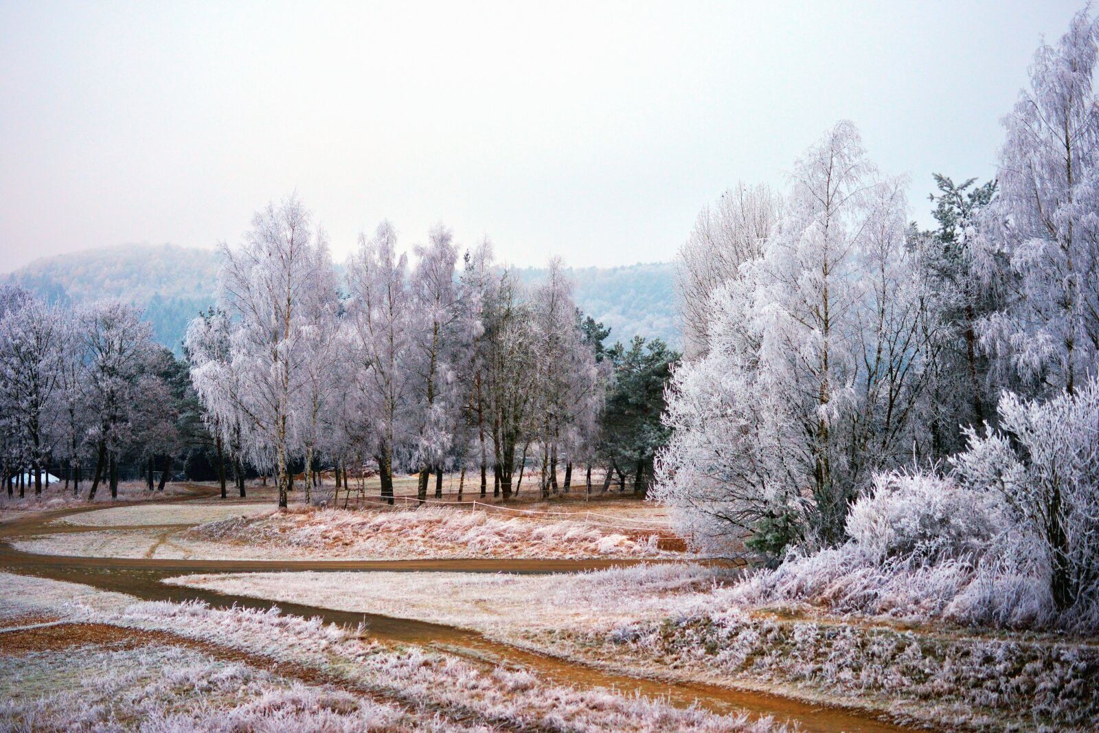 Nikon D5200 sample photo. Road, winter, forest, road photography