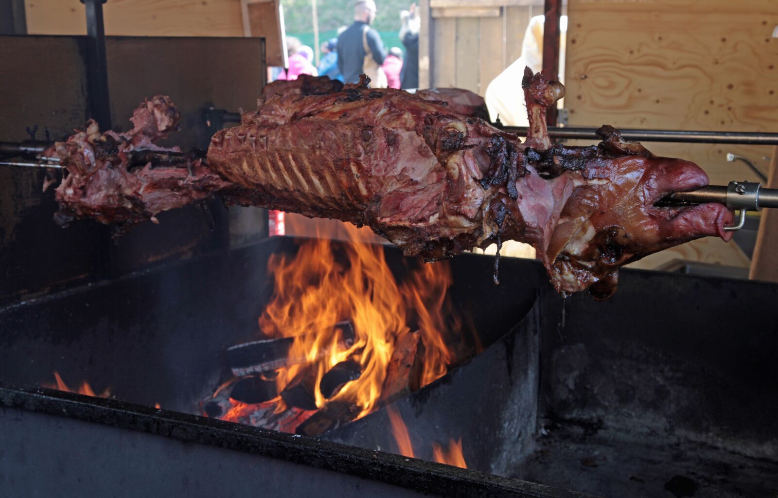 Canon EOS 5D Mark II sample photo. Suckling pig, pig, spit photography