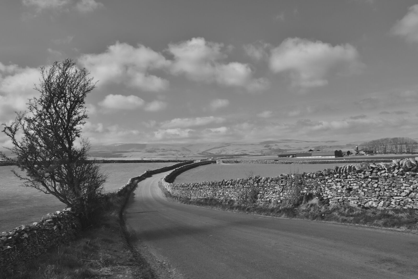 Nikon D5600 sample photo. Lake district, england, countryside photography