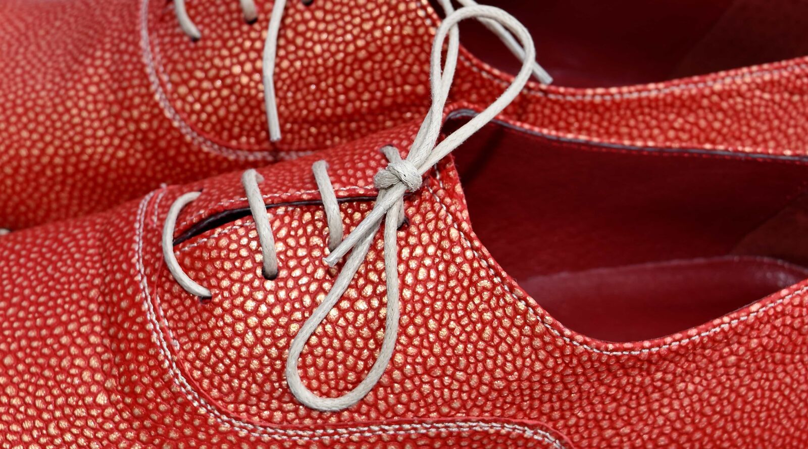 Nikon D5500 sample photo. Detail, leather, red, shoelace photography