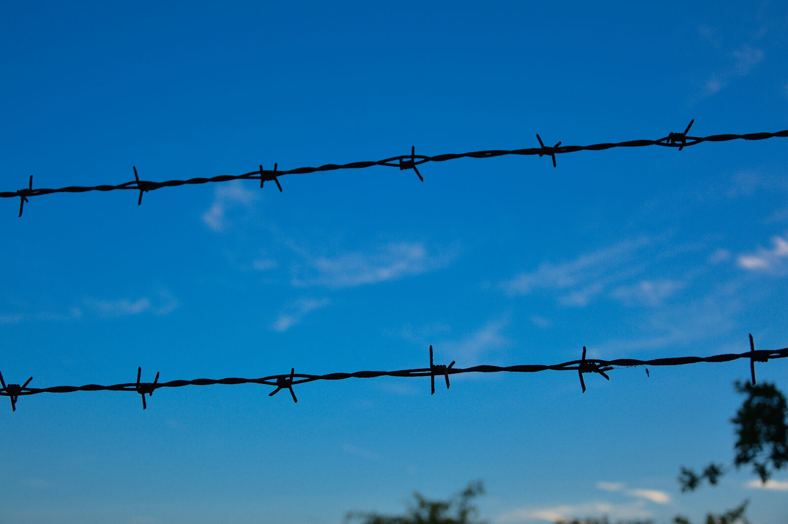 Nikon D3200 sample photo. Fence, sky photography