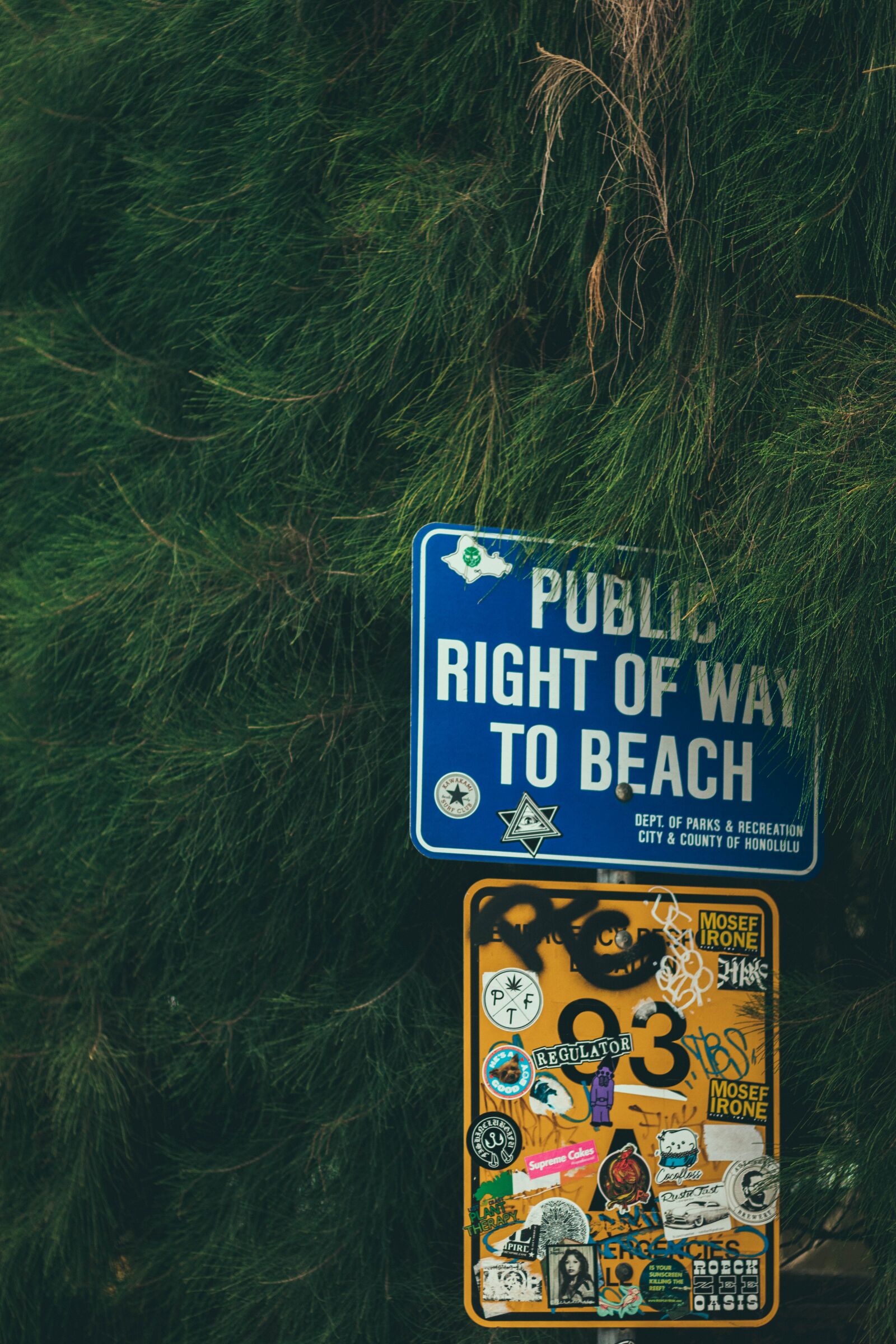 Canon EOS 80D + Canon EF 50mm F1.8 STM sample photo. Hawaii, sign post, sign photography