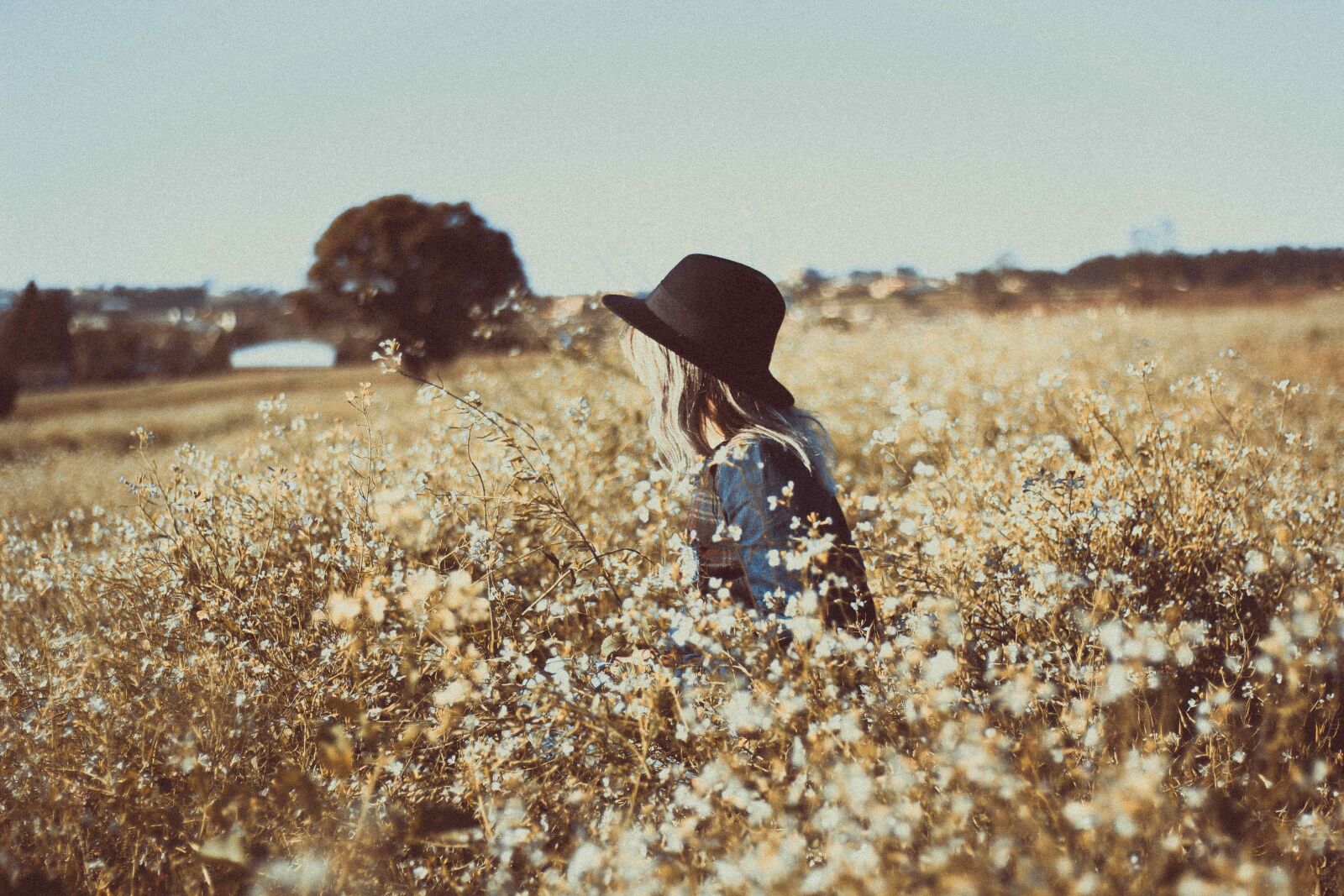 Canon EOS 60D + Canon EF 50mm F1.8 STM sample photo. Woman, field, nature photography