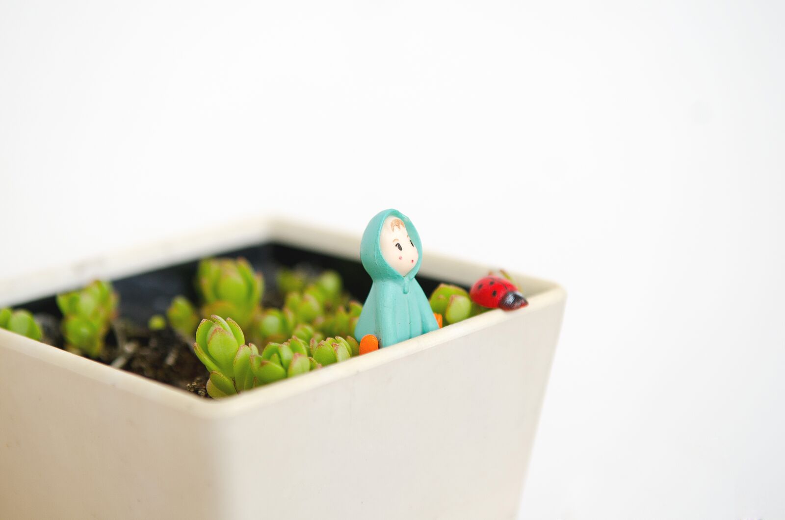 Nikon D7000 sample photo. Plant, life, cartoon photography