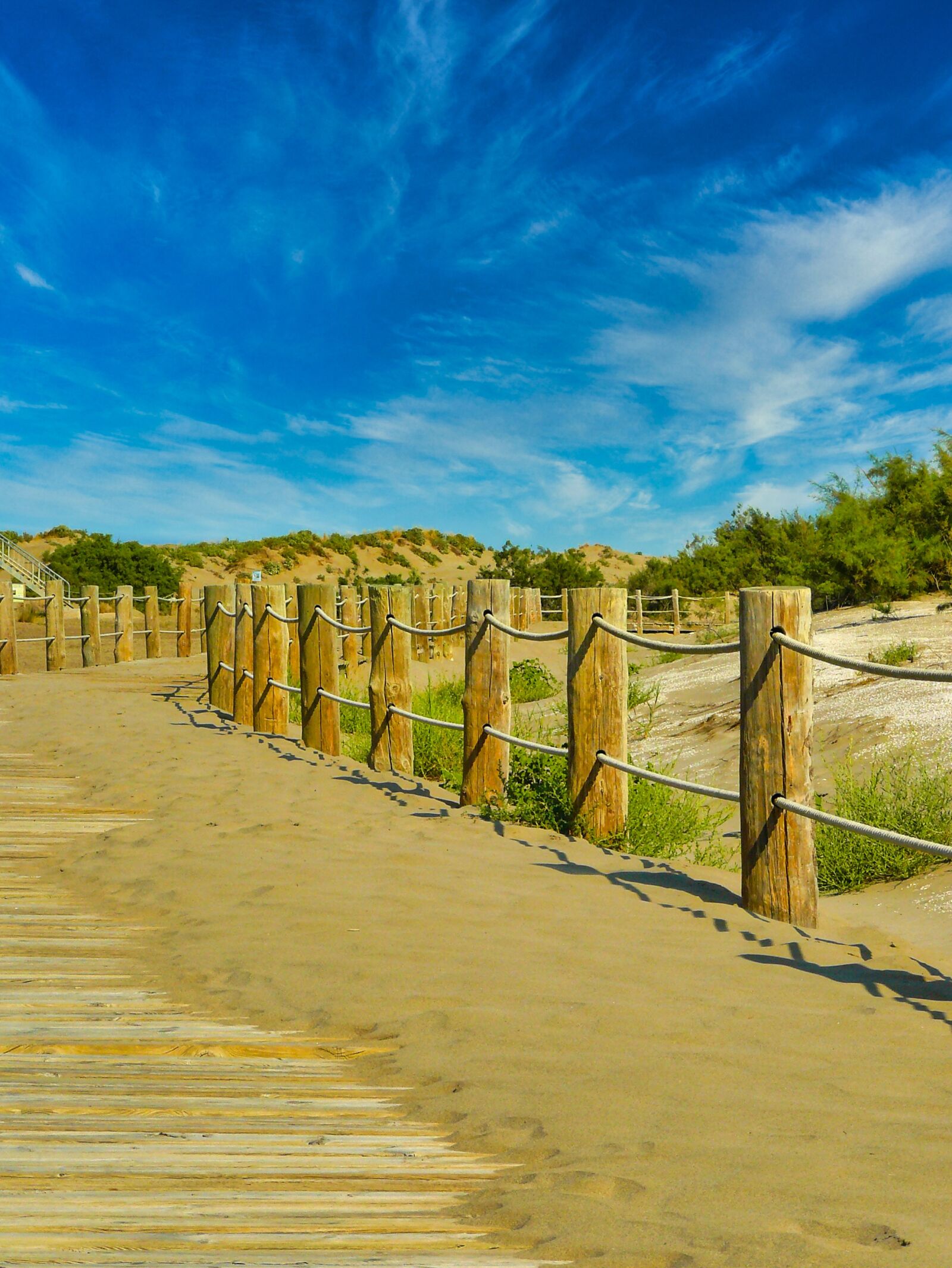 Panasonic DMC-FZ8 sample photo. Path, beach, dunes photography