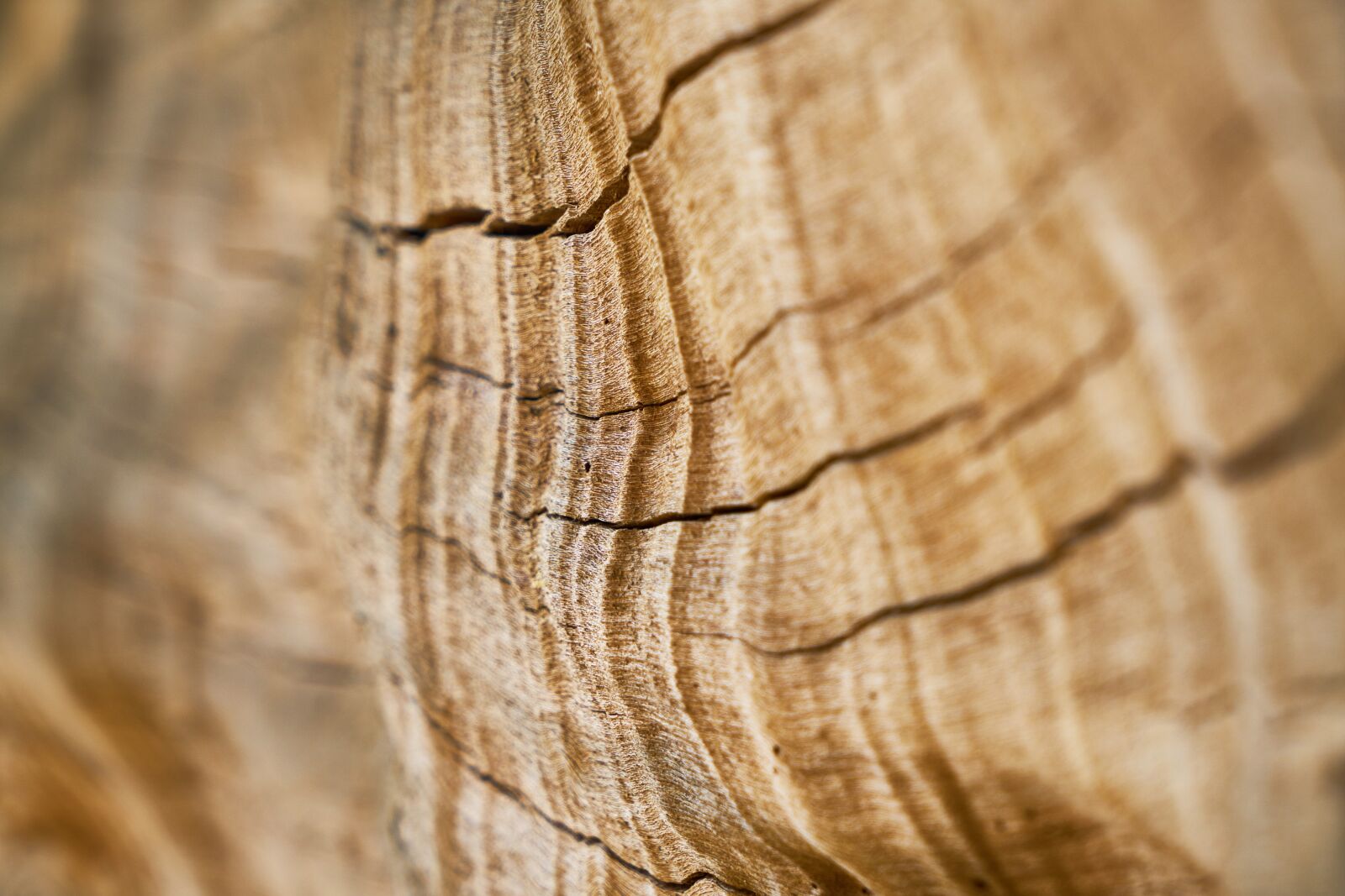 Sony a7R II sample photo. Wood-fibre boards, texture, wood photography