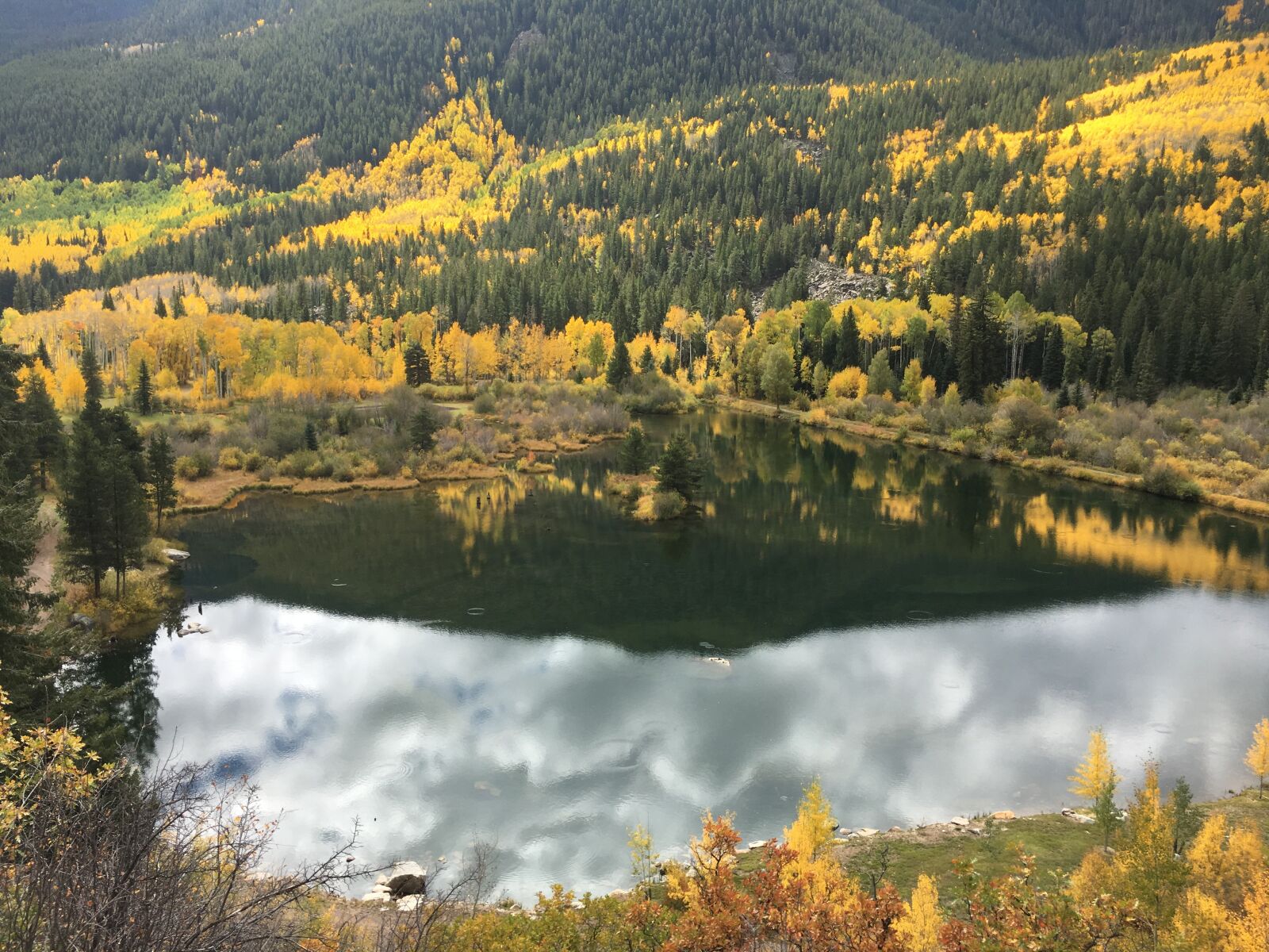Apple iPhone 6s sample photo. Reflection, nature, water photography