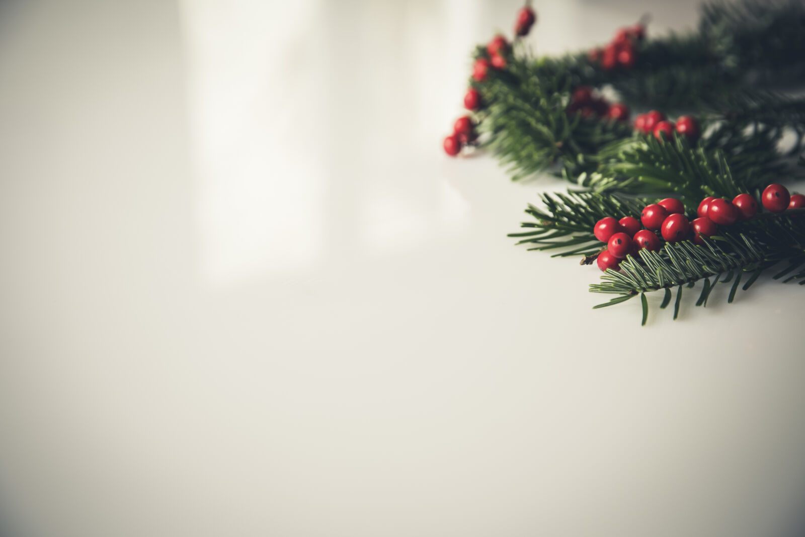 Canon EF 24-70mm F2.8L II USM sample photo. Tree, decoration, christmas, xmas photography
