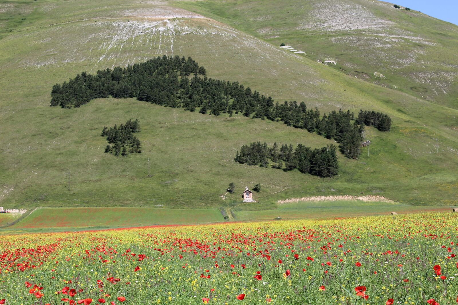 Canon EOS 1200D (EOS Rebel T5 / EOS Kiss X70 / EOS Hi) sample photo. Umbria, castelluccio, of photography