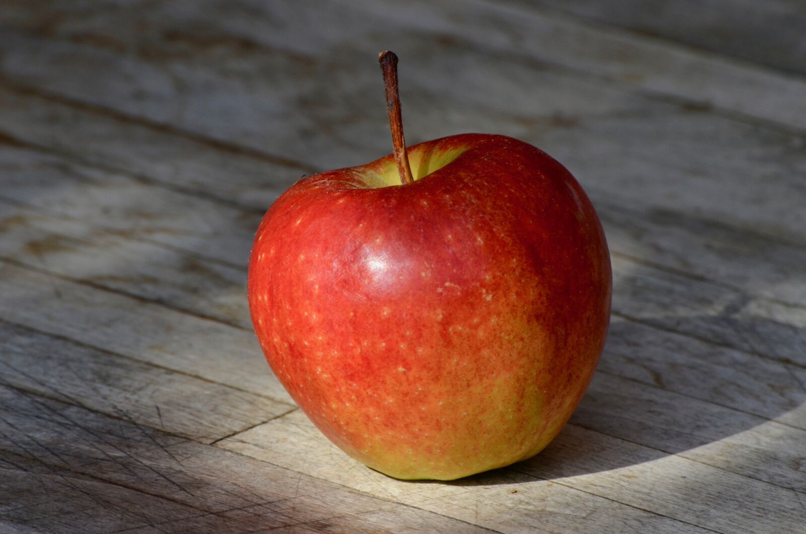 Nikon D5100 sample photo. Apple, fruit, red photography