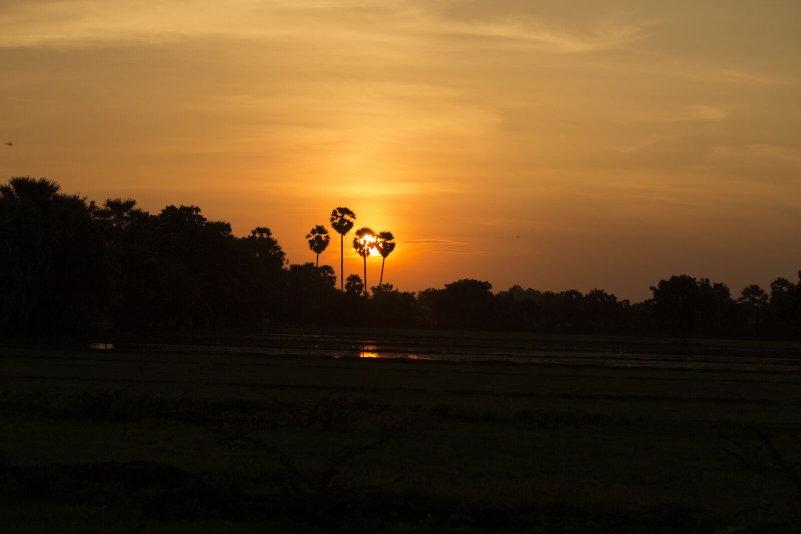 Canon EOS 700D (EOS Rebel T5i / EOS Kiss X7i) sample photo. Sunset, dawn, evening photography