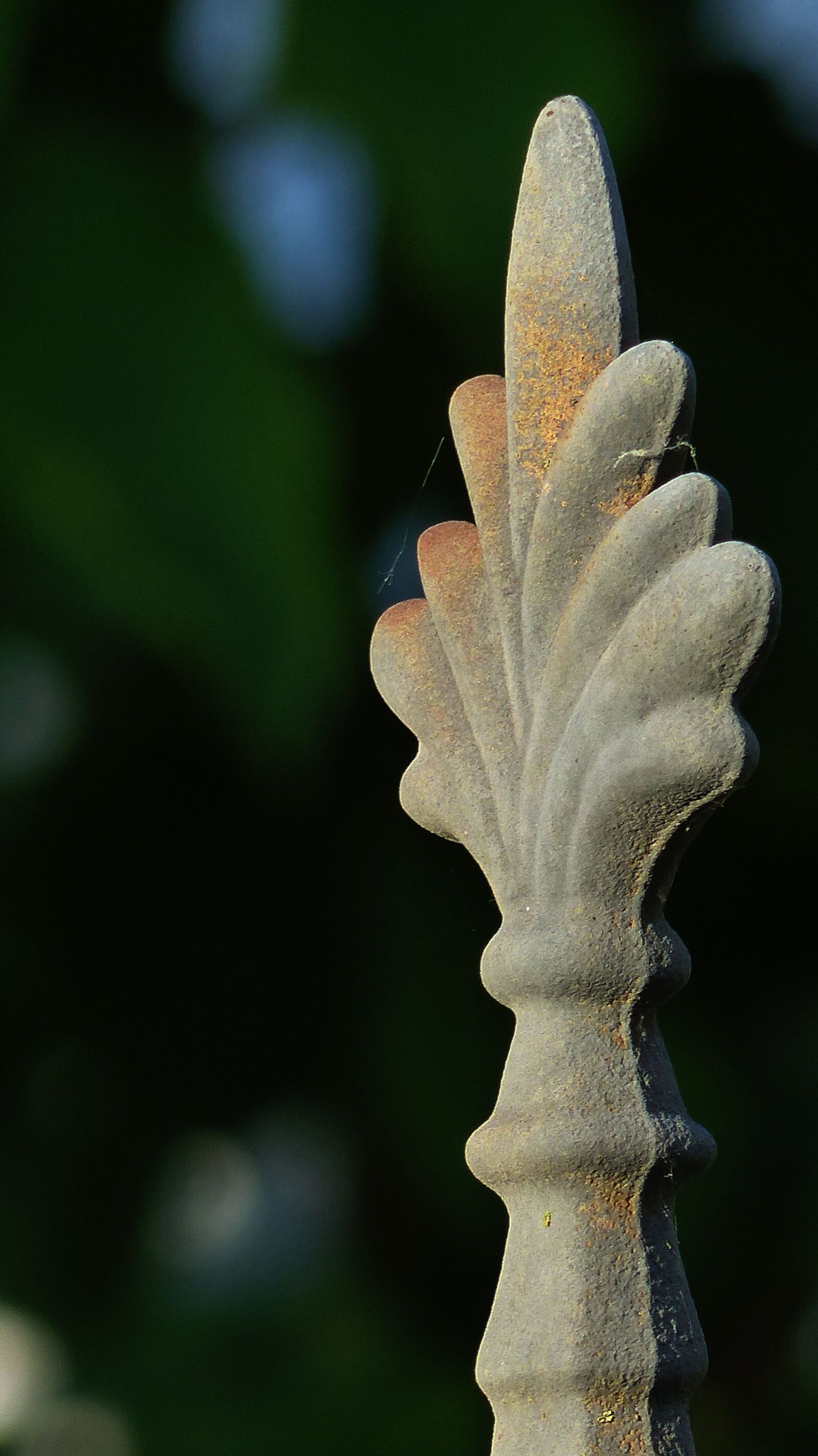 Panasonic Lumix DMC-FZ200 sample photo. Ornament, metal, floral photography