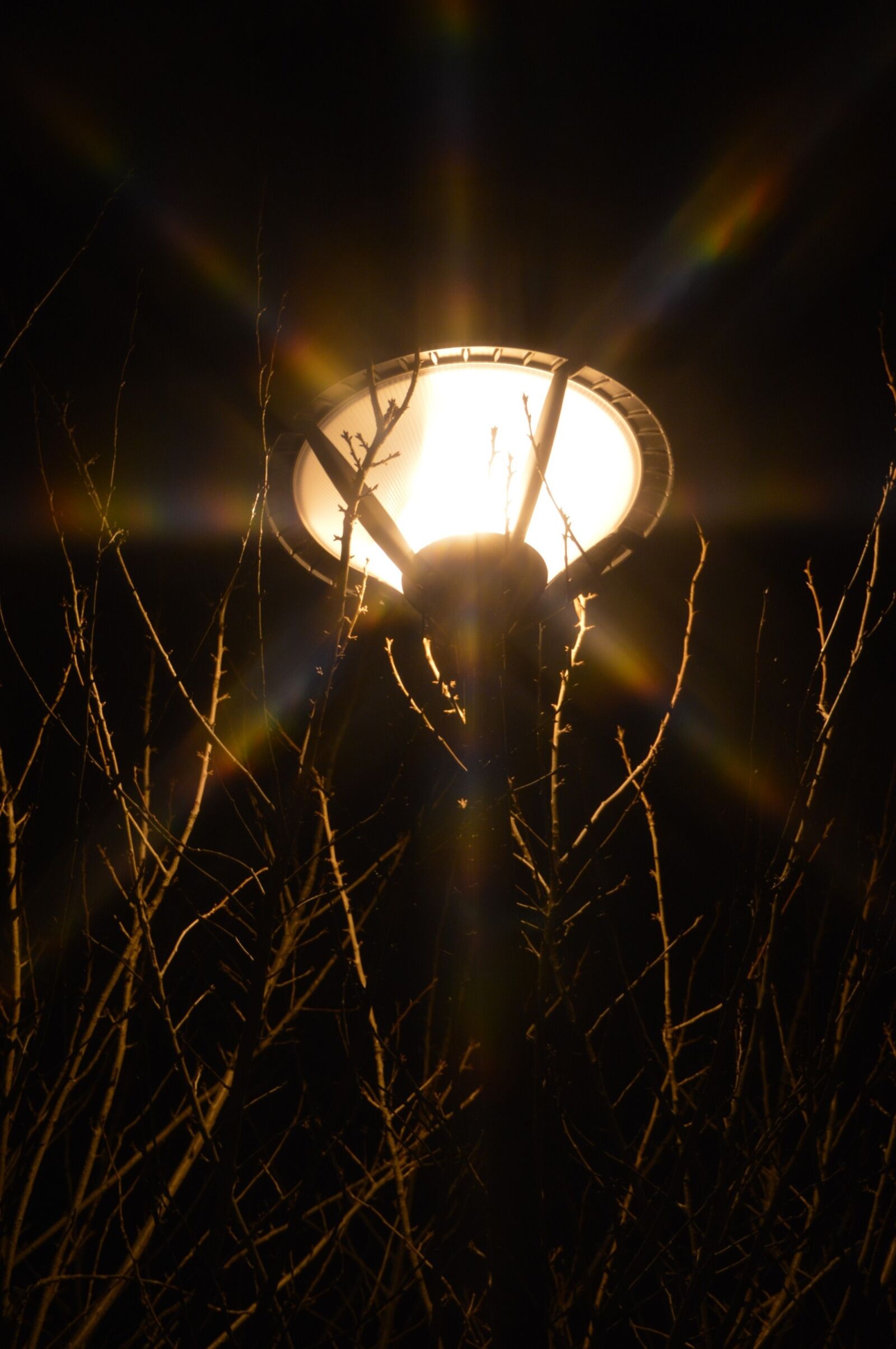 Nikon D3200 sample photo. Light, floor lamp, reverberatory photography