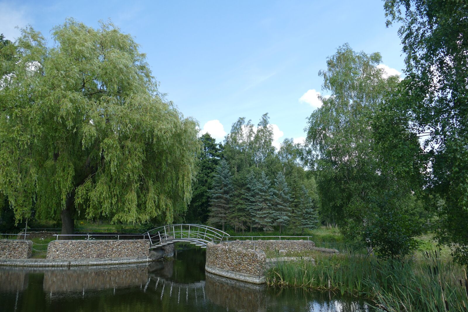 Panasonic Lumix DMC-FZ1000 sample photo. Landscape, pond, forests photography