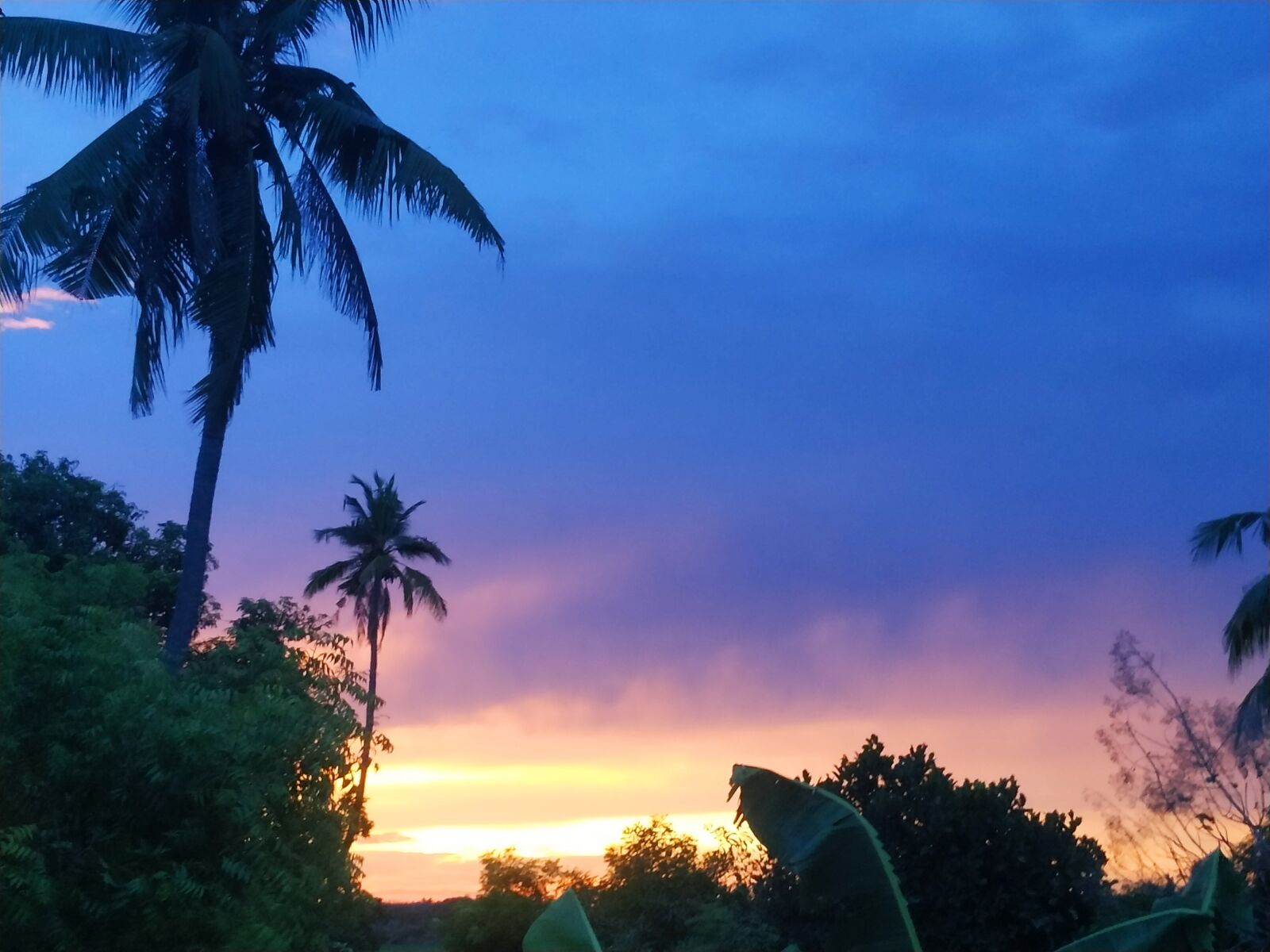 Xiaomi Redmi Note 6 Pro sample photo. Sunset sky, admiring nature photography