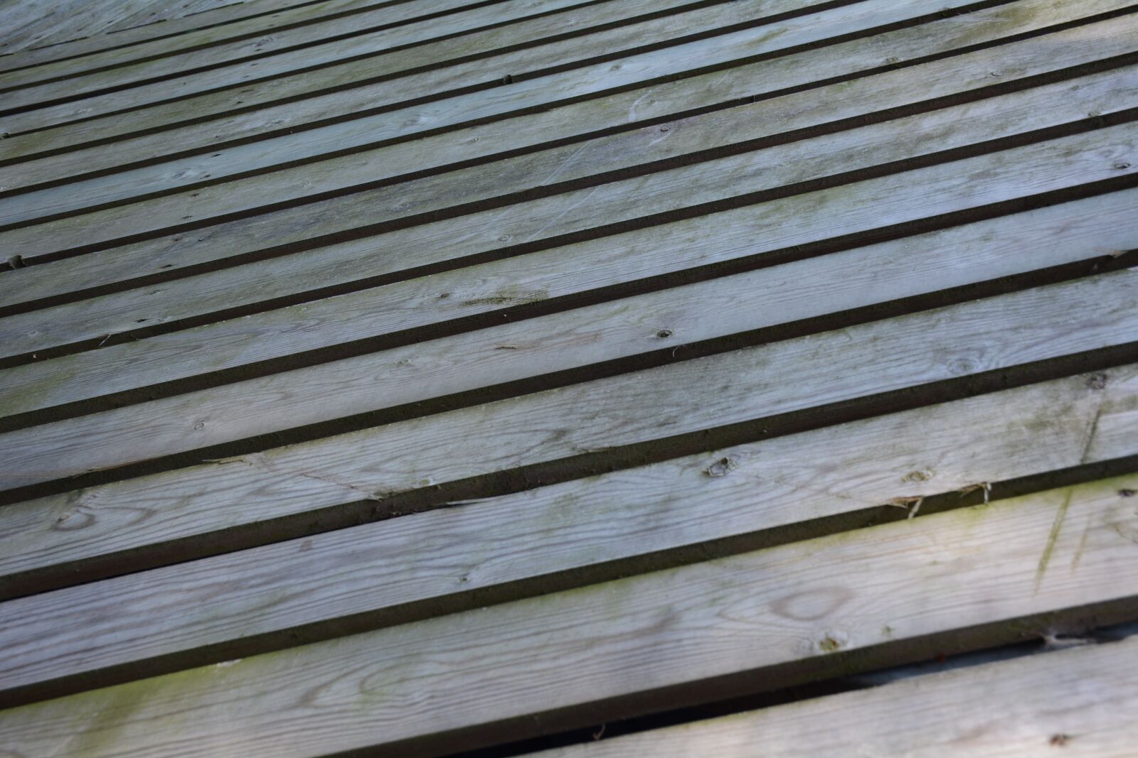Nikon D7100 sample photo. Wood, autumn, background photography