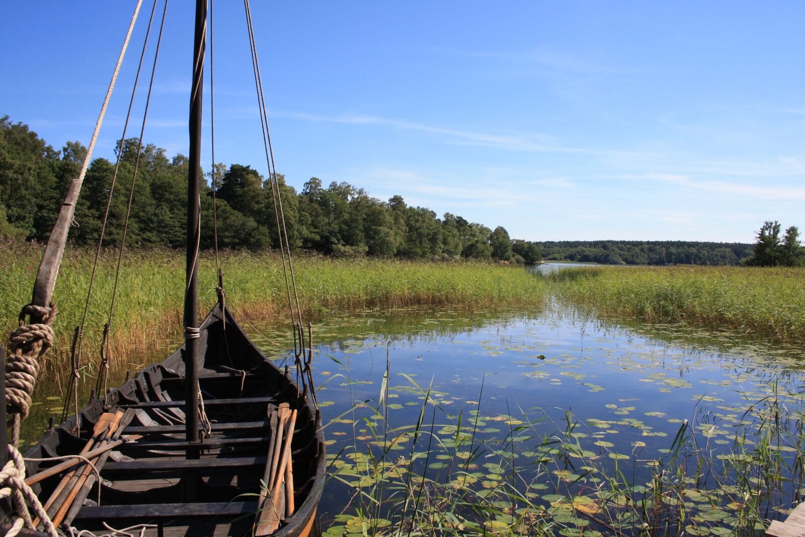 Canon EOS 1000D (EOS Digital Rebel XS / EOS Kiss F) sample photo. Waters, wood, nature photography