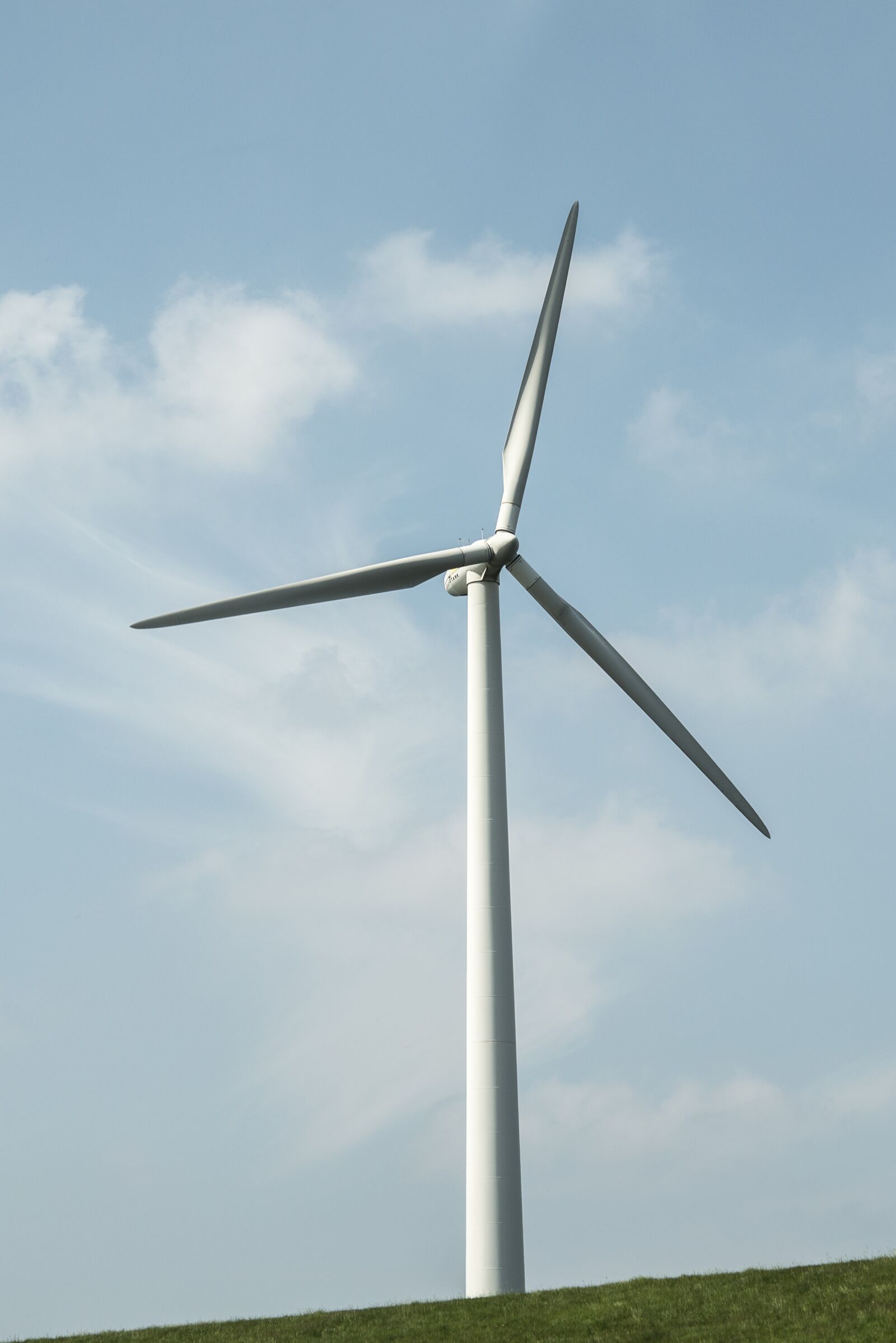Nikon D600 sample photo. Windmill, dutch, green photography
