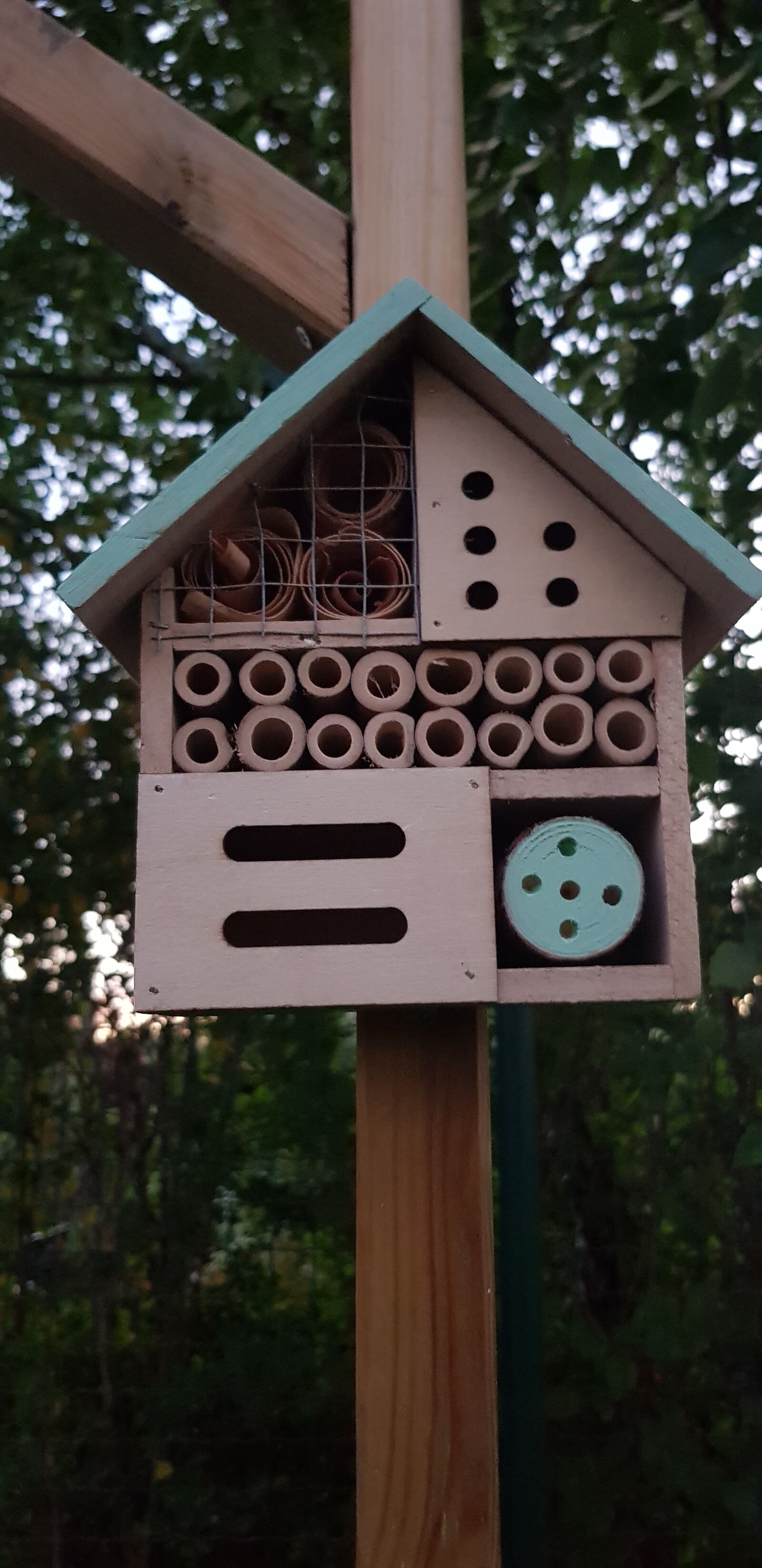 Samsung Galaxy S8 sample photo. Cottage, house for insects photography