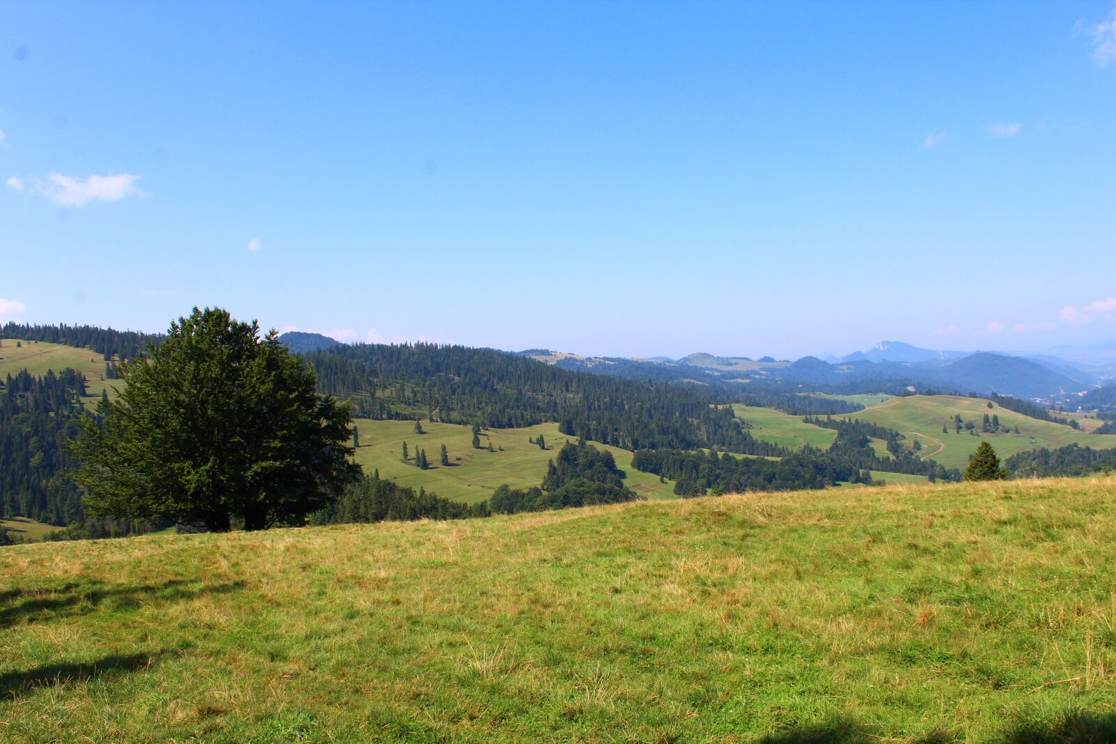 Canon EOS 1300D (EOS Rebel T6 / EOS Kiss X80) sample photo. Landscape, mountains, forest photography