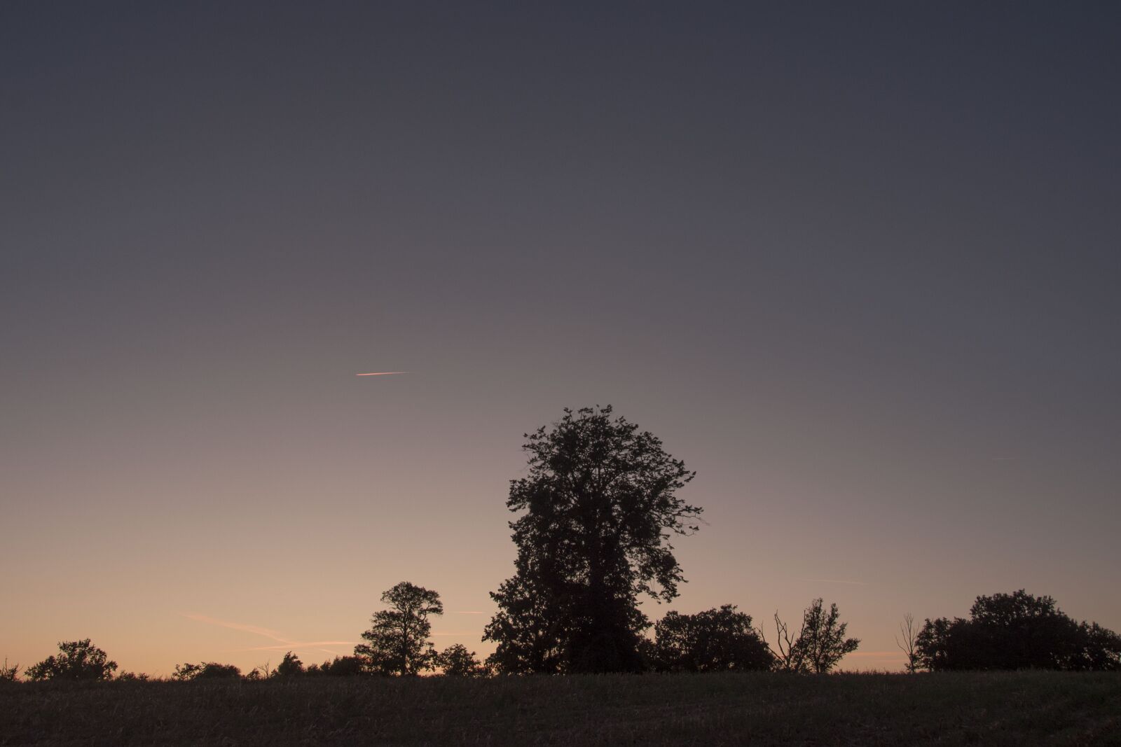 Nikon D5600 sample photo. Field, sunset, landscape photography