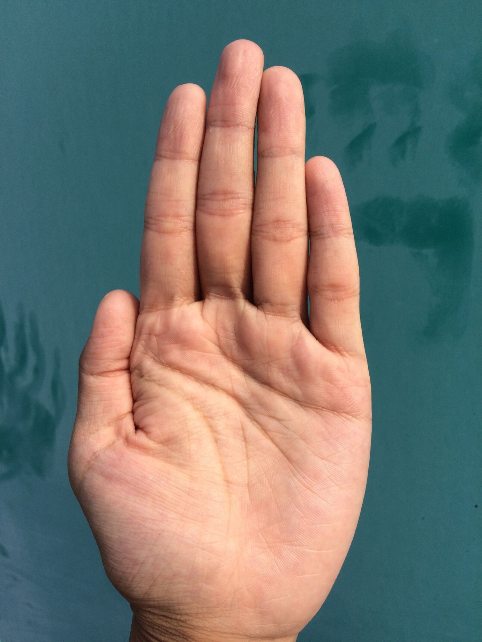 iPhone 5s back camera 4.15mm f/2.2 sample photo. Palm, hand, finger photography