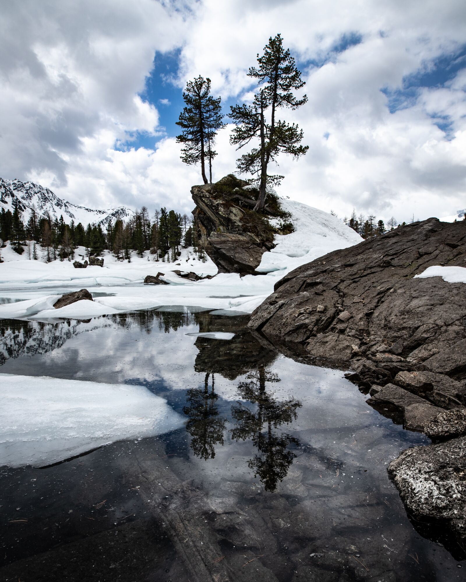 Canon EOS 6D Mark II + Canon 20mm F1.4 DG HSM | Art 015 sample photo. Tree, lake, river photography