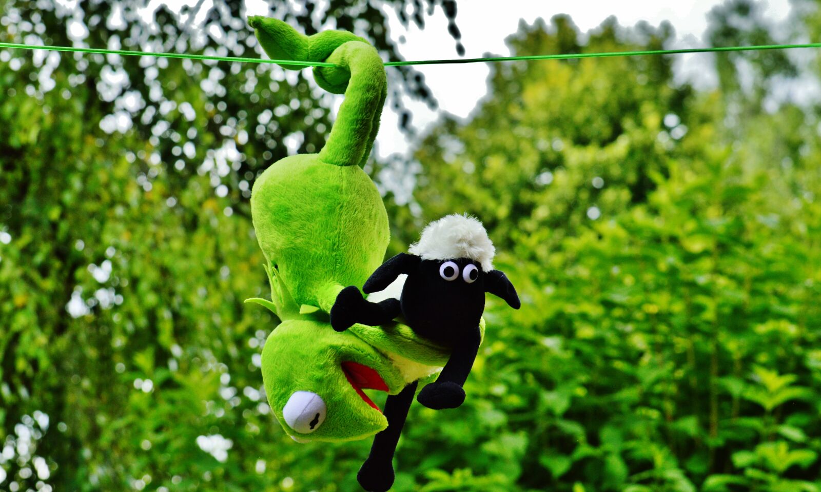 Nikon D3200 sample photo. Hang out, plush toys photography