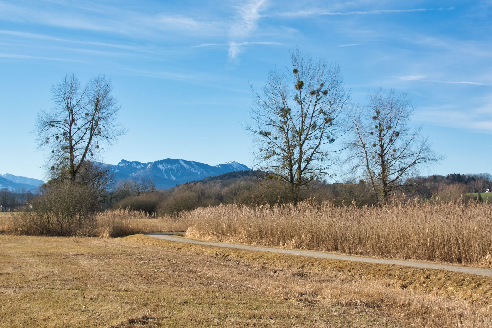 Nikon D7100 sample photo. Landscape, upper bavaria, chiemgau photography