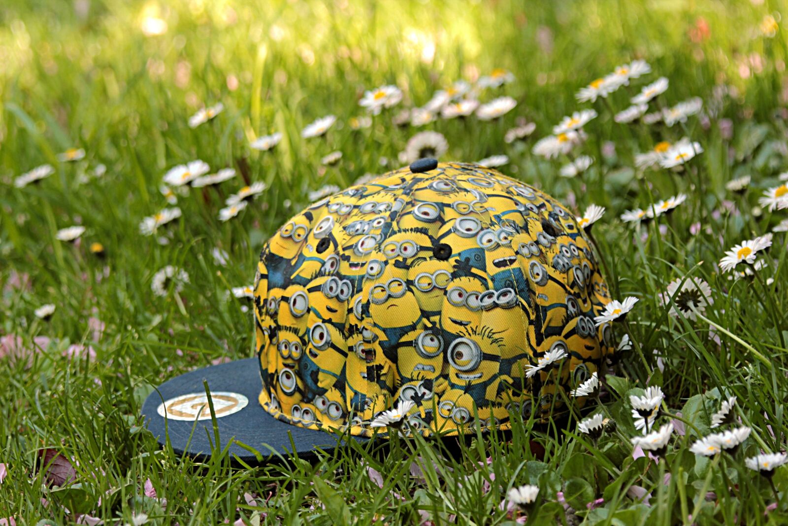 Canon EOS 550D (EOS Rebel T2i / EOS Kiss X4) sample photo. Cap, goggles theme, minions photography