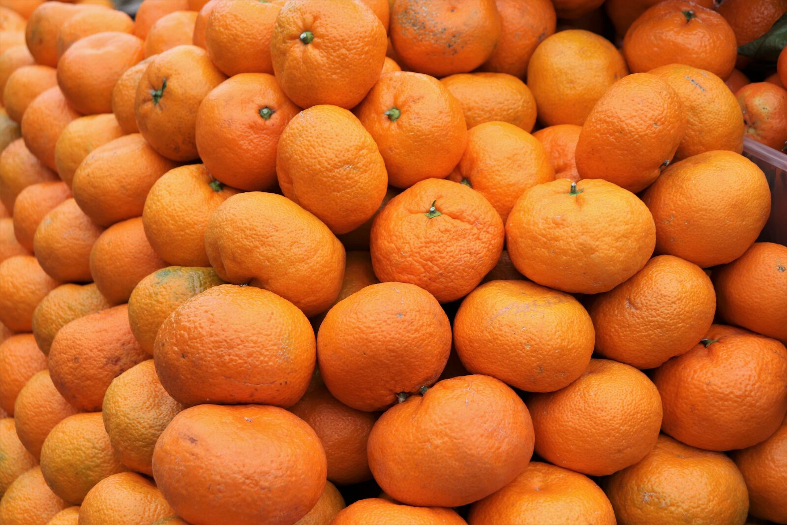 Canon EOS 200D (EOS Rebel SL2 / EOS Kiss X9) sample photo. Tangerine, fruit, orange photography