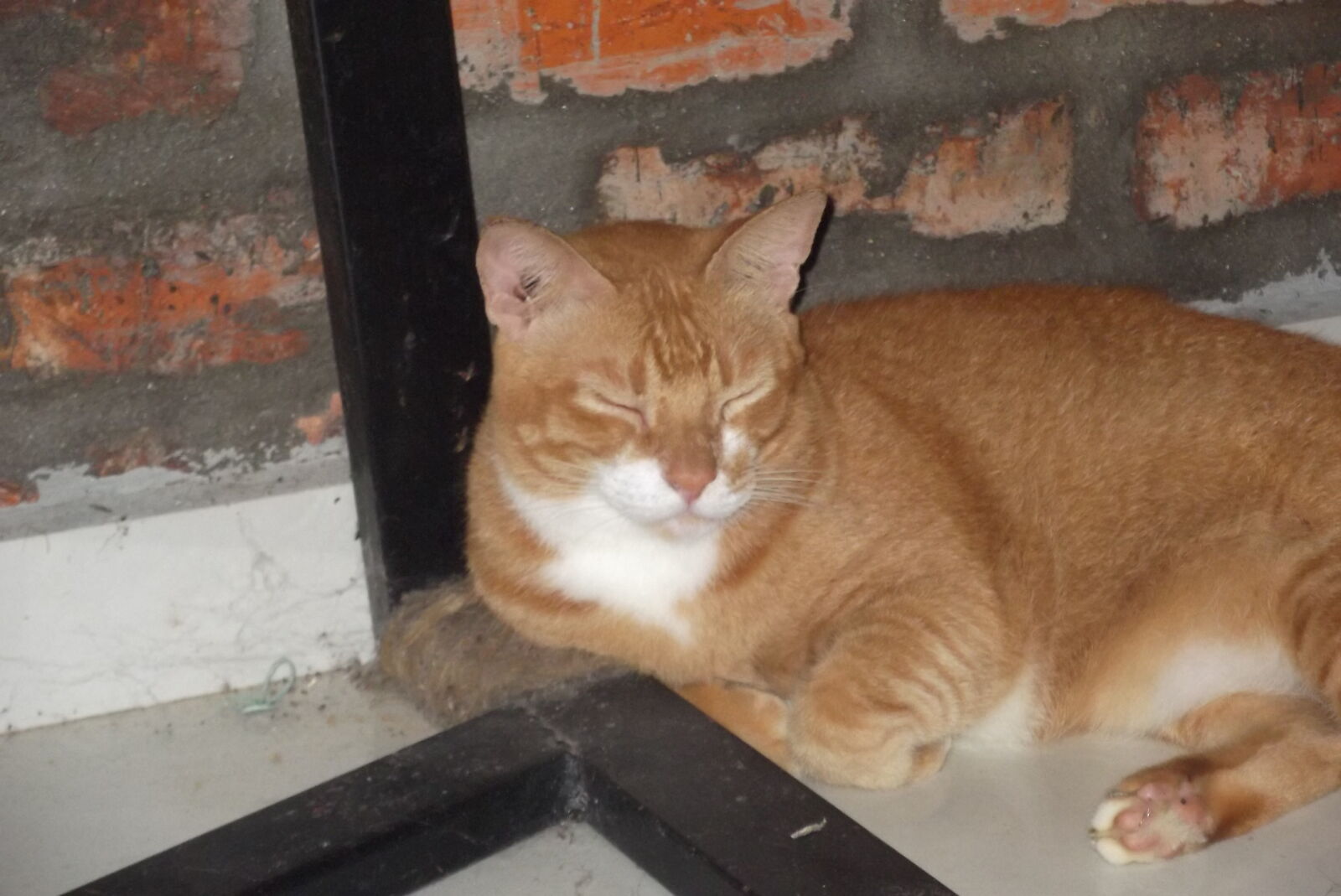 Fujifilm FinePix JX280 sample photo - mJ6w2w4vXM - ExploreCams