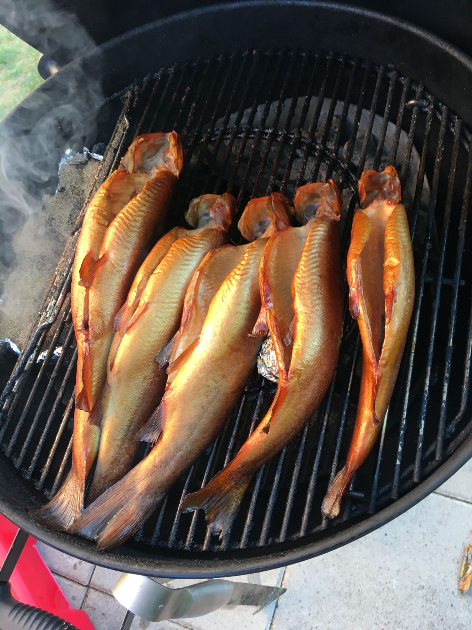 Apple iPhone 6s sample photo. Bbq, pulled pork, barbecue photography