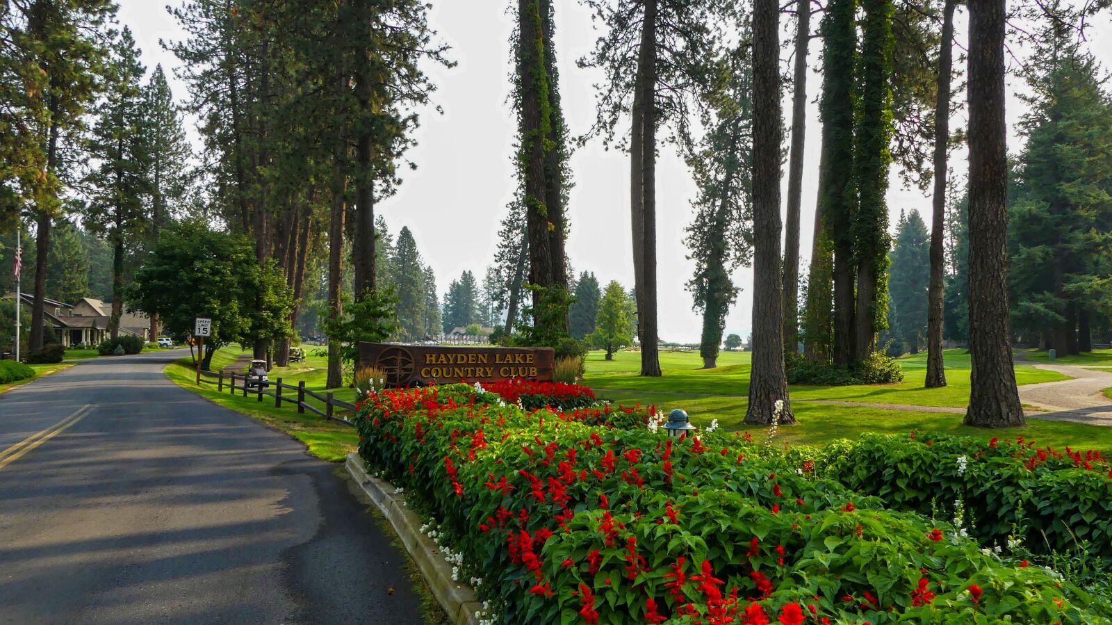 Panasonic Lumix DMC-FZ300 sample photo. Golf, trees, outdoors photography
