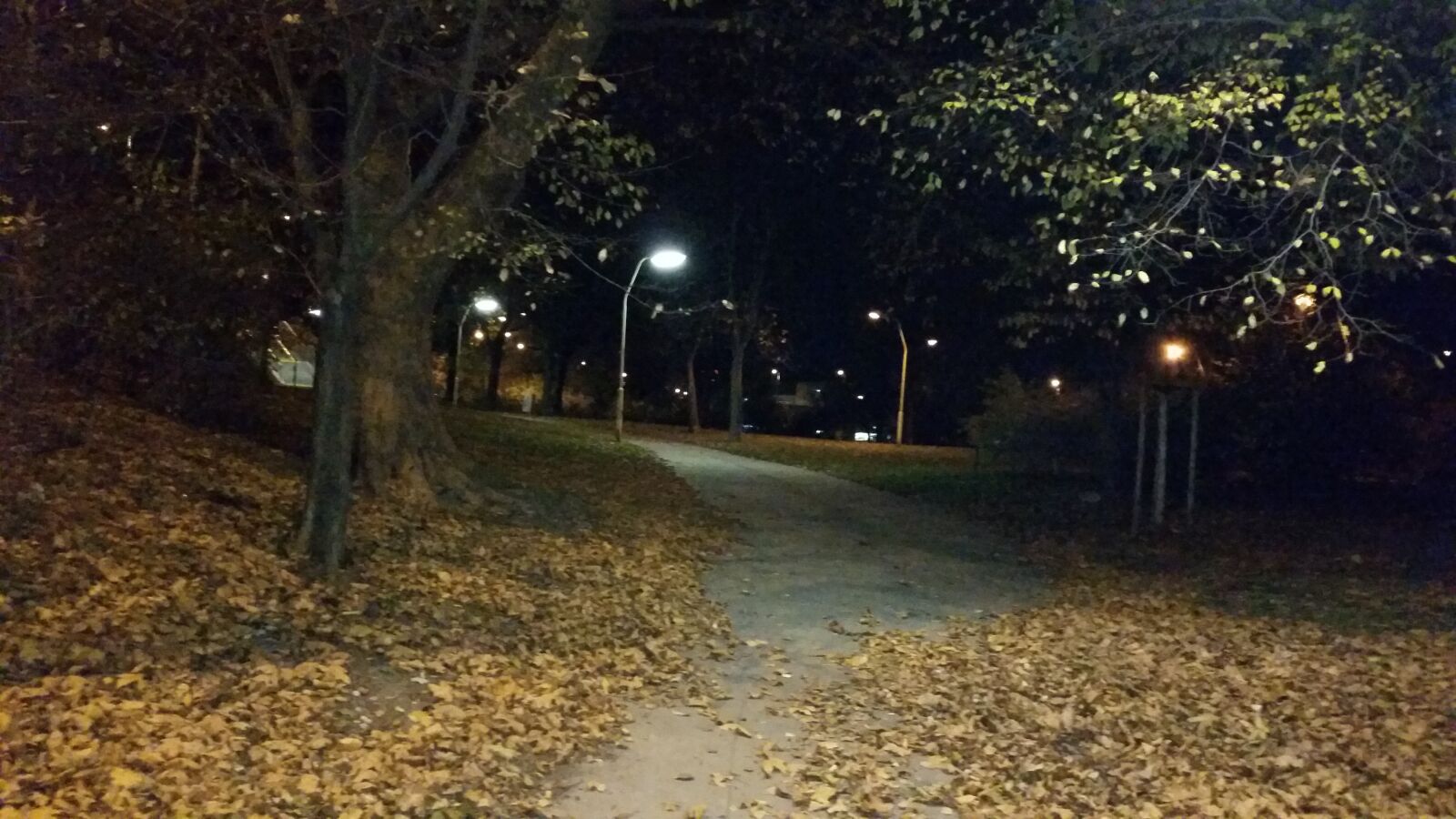 Samsung Galaxy S5 sample photo. Autumn in the, wiener photography