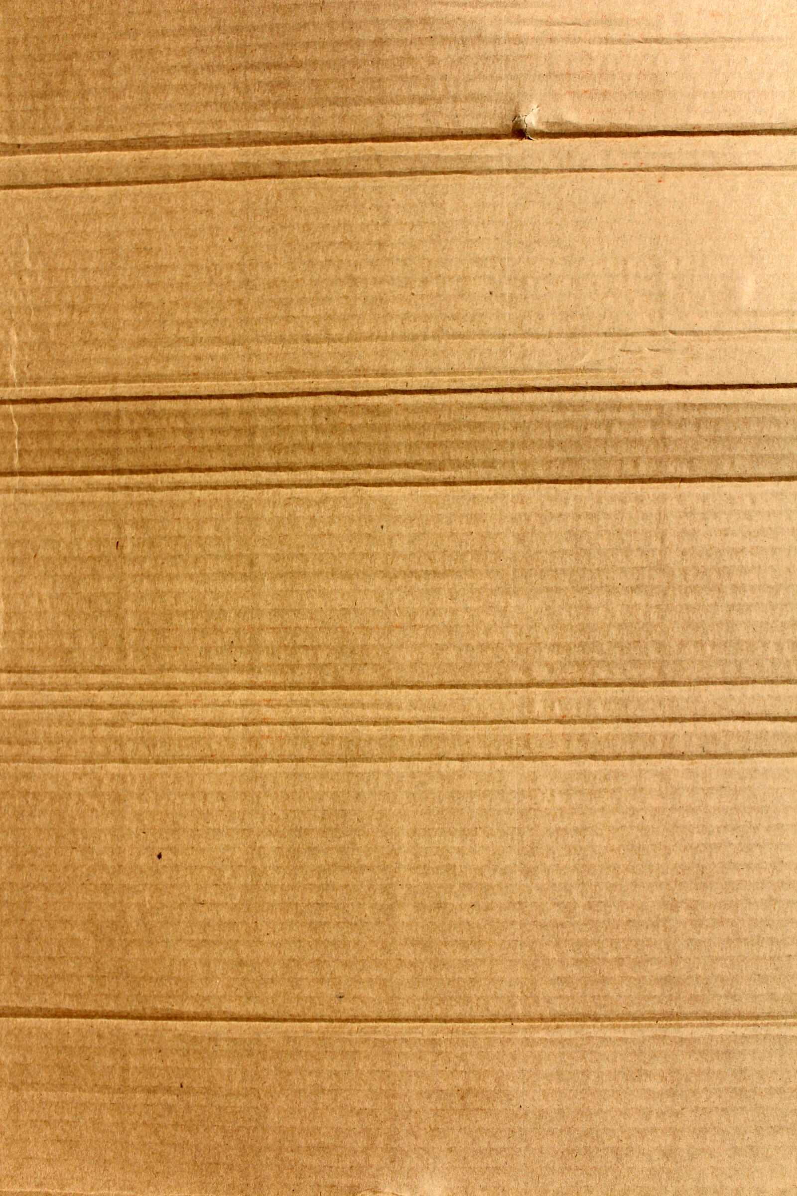Canon EOS 650D (EOS Rebel T4i / EOS Kiss X6i) sample photo. Board, brown, cardboard, close photography
