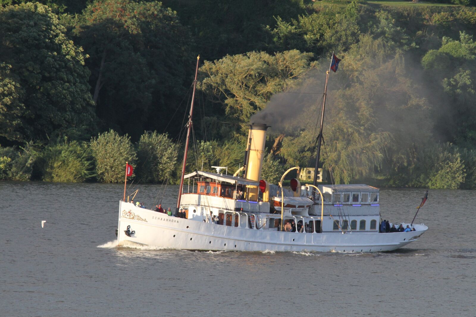Canon EOS 7D sample photo. Schaarh rn, ship, cruise photography