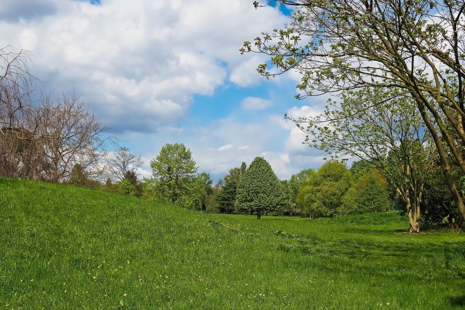 Olympus OM-D E-M10 sample photo. Landscape, field, nature photography