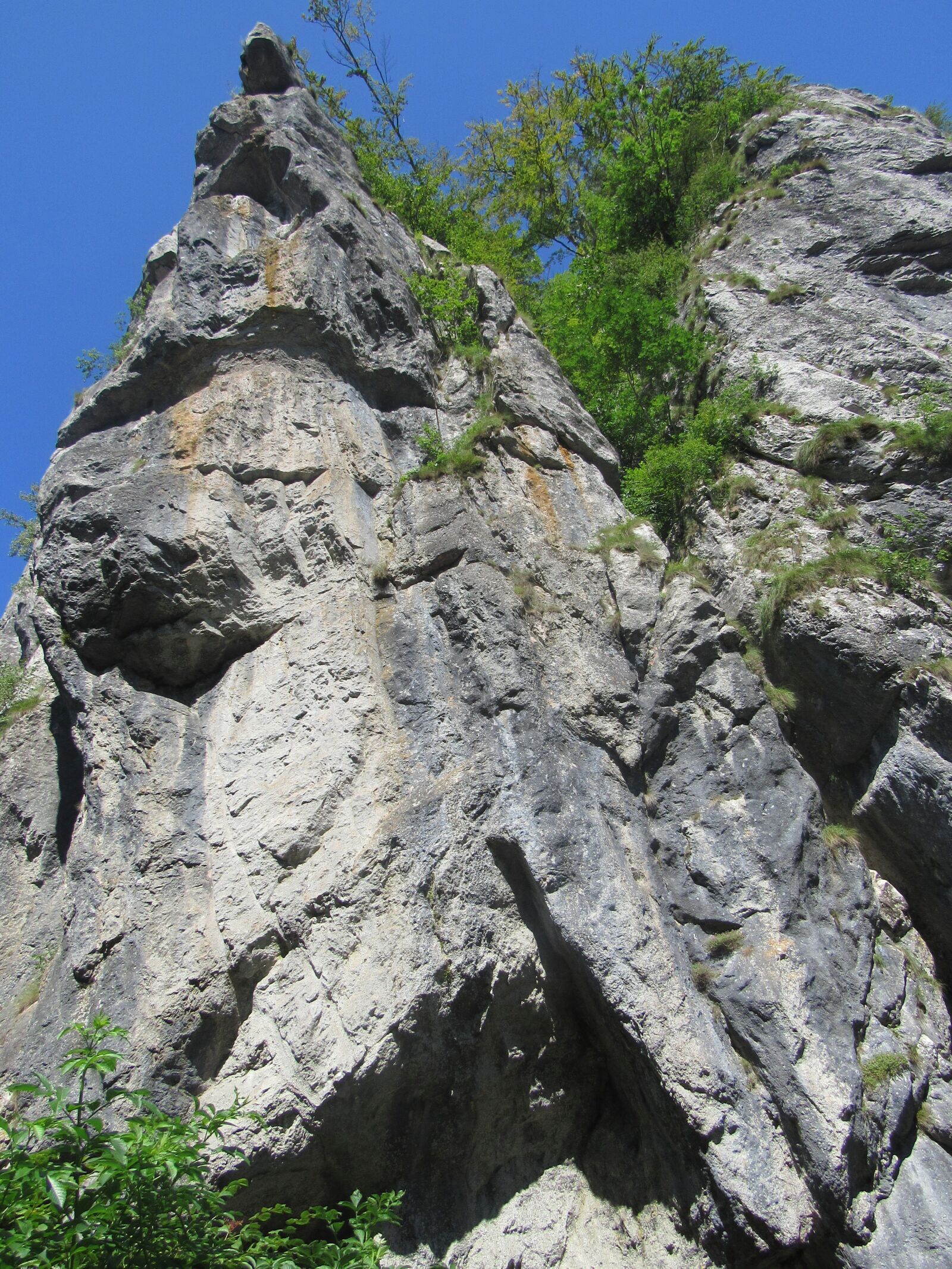 Canon PowerShot SX530 HS sample photo. Rock, boga, bihor photography