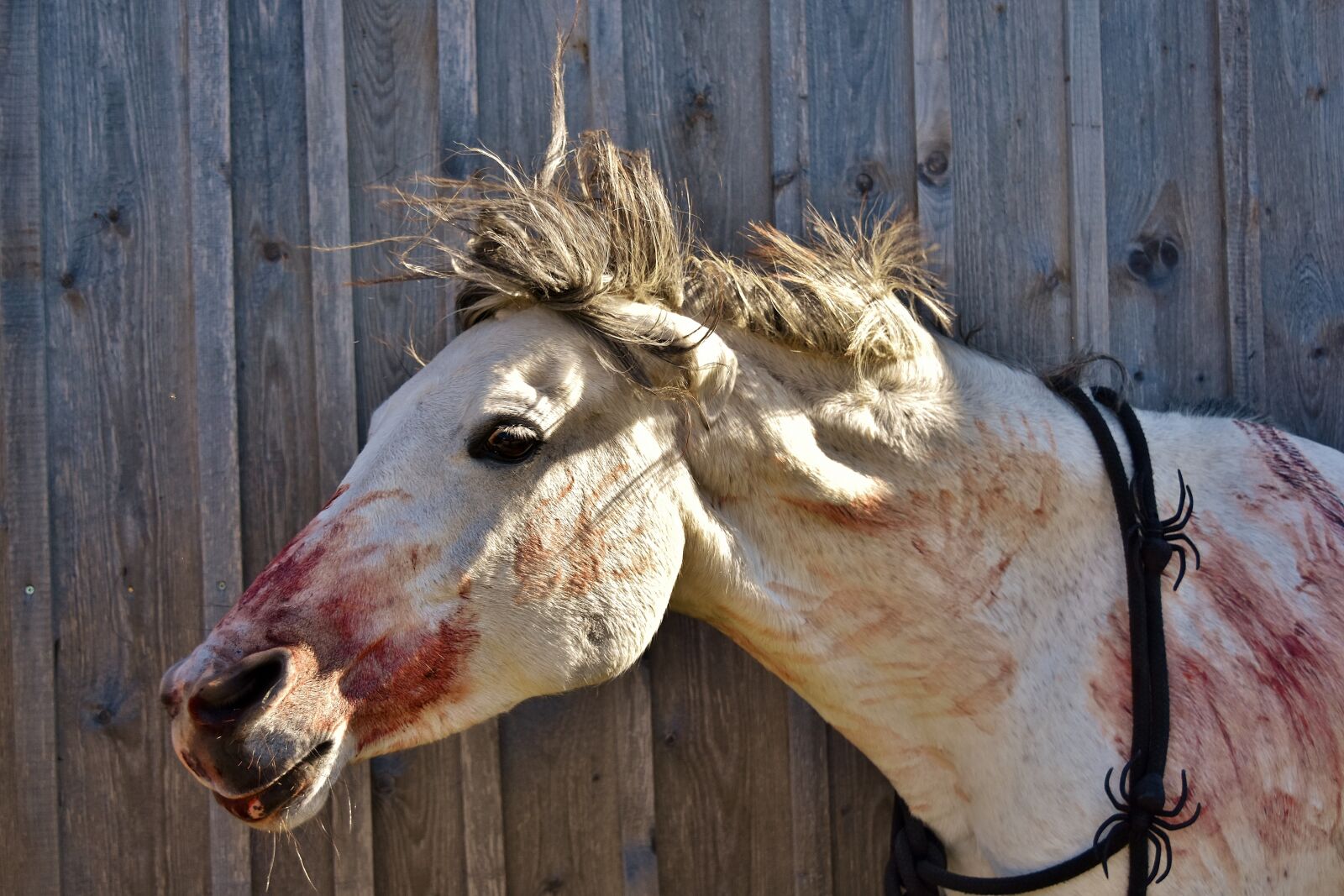Nikon D7200 sample photo. Halloween, bloody, art blood photography
