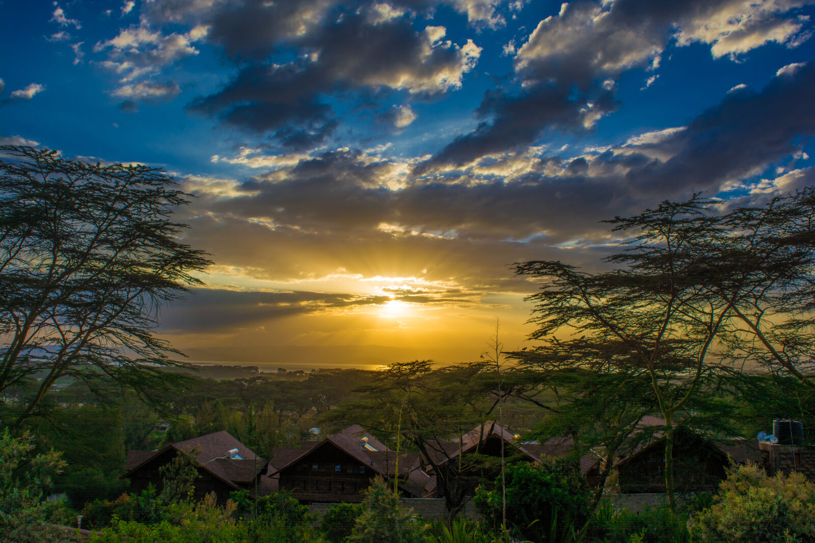 Nikon D5200 sample photo. Acacia, clouds, kenya, naivasha photography