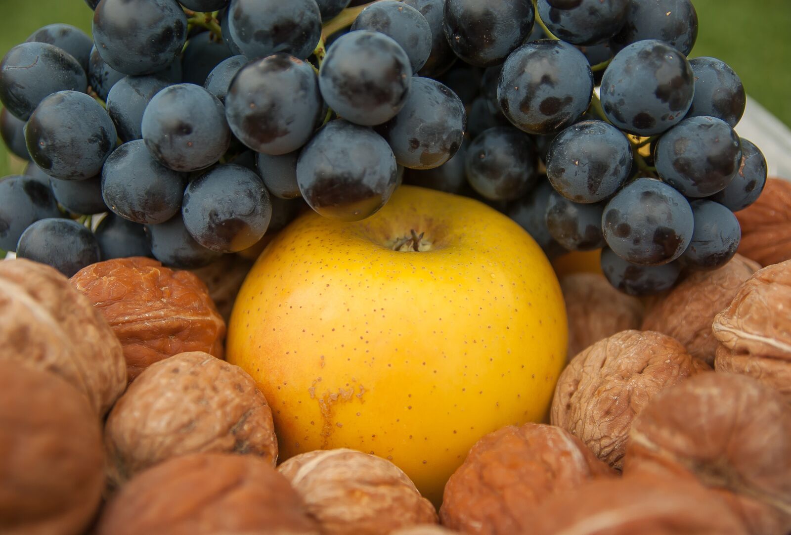 Pentax K10D sample photo. Grape, nuts apple, fall photography