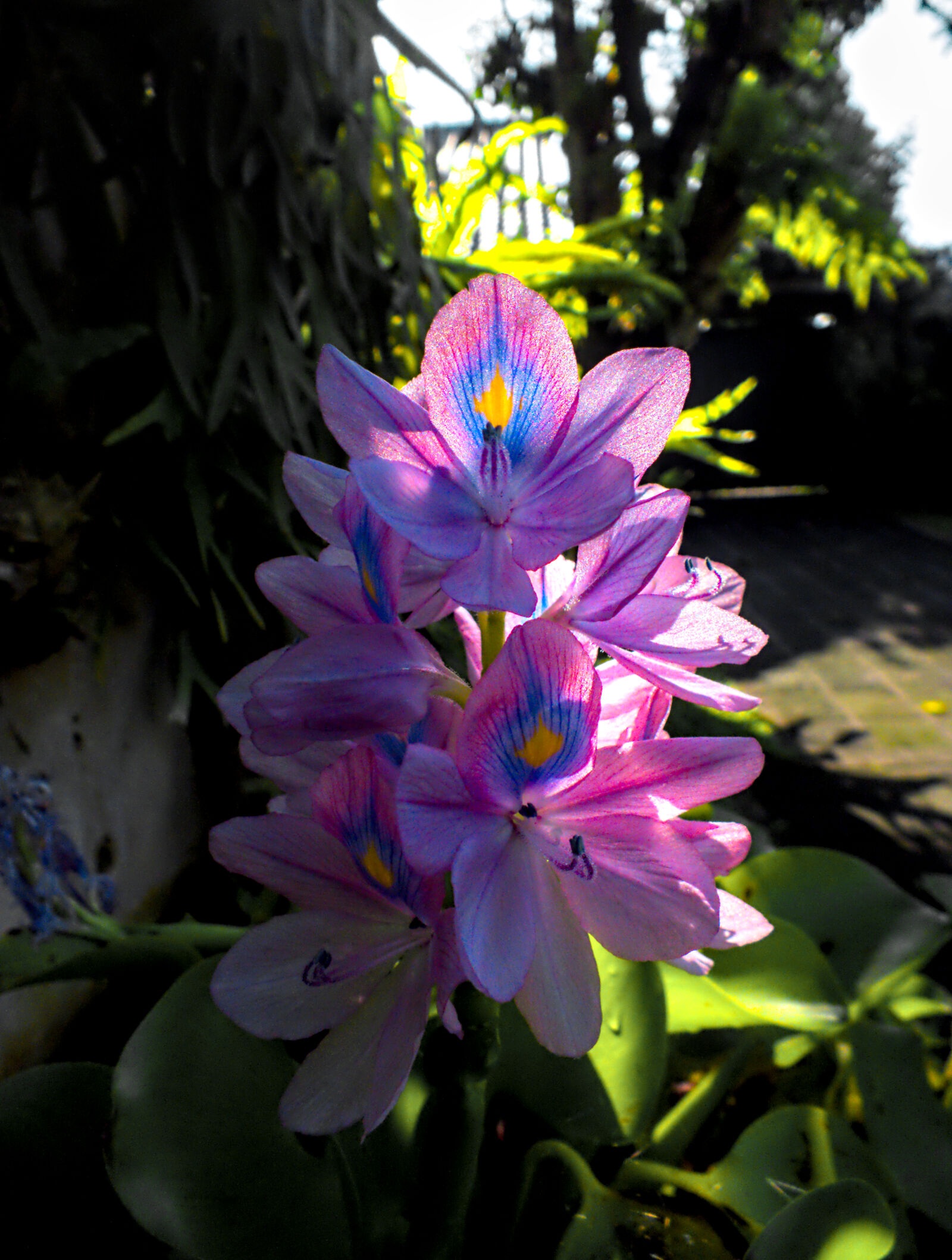FujiFilm FinePix HS20 EXR (FinePix HS22 EXR) sample photo