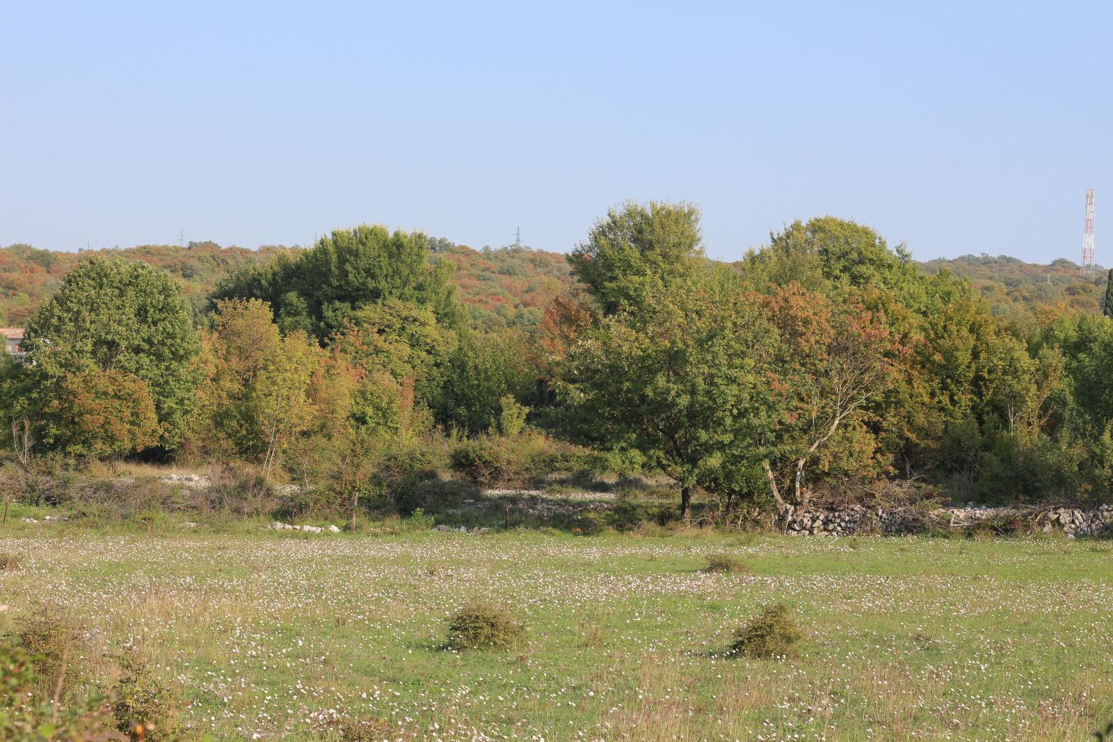 Canon EF 50mm F1.8 STM sample photo. Landscape, nature, trees photography