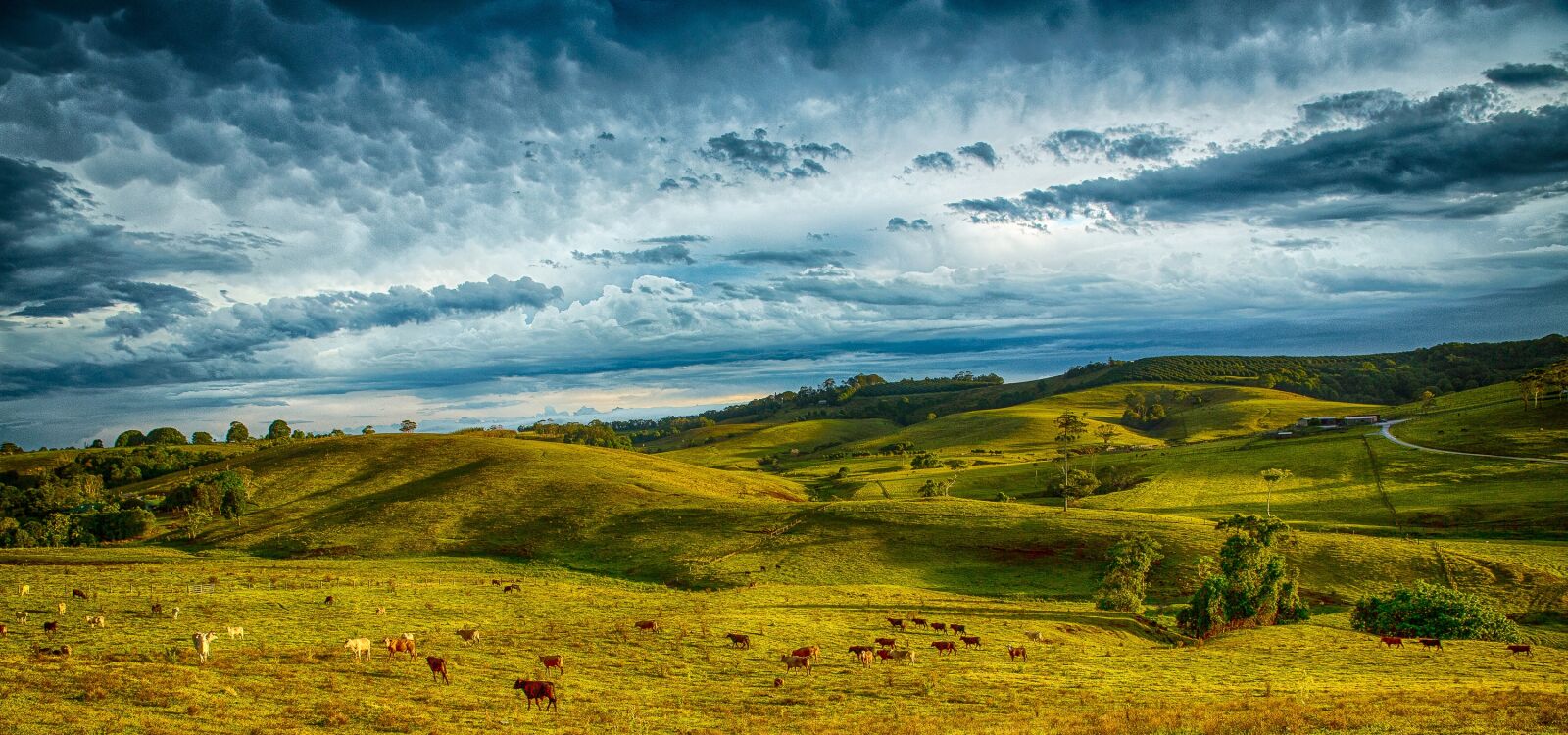 Canon EOS 5D Mark III sample photo. Hills, storm, byron bay photography