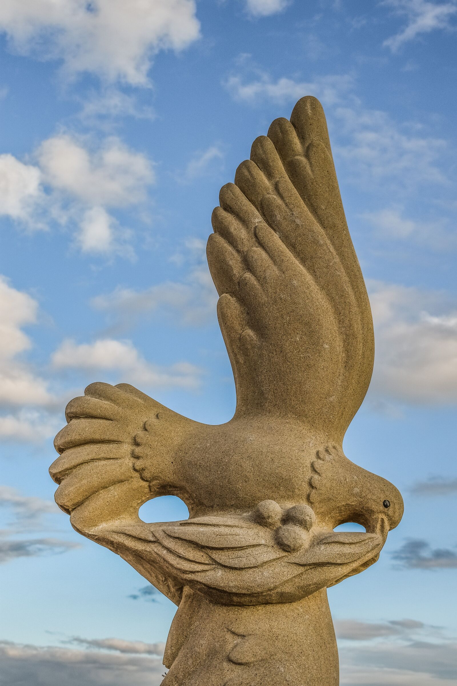 Nikon D3300 sample photo. Peace, pigeon, olive branch photography