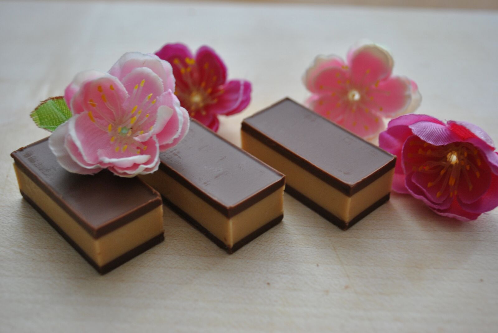 Nikon D3000 sample photo. Flower, chocolate, rose photography