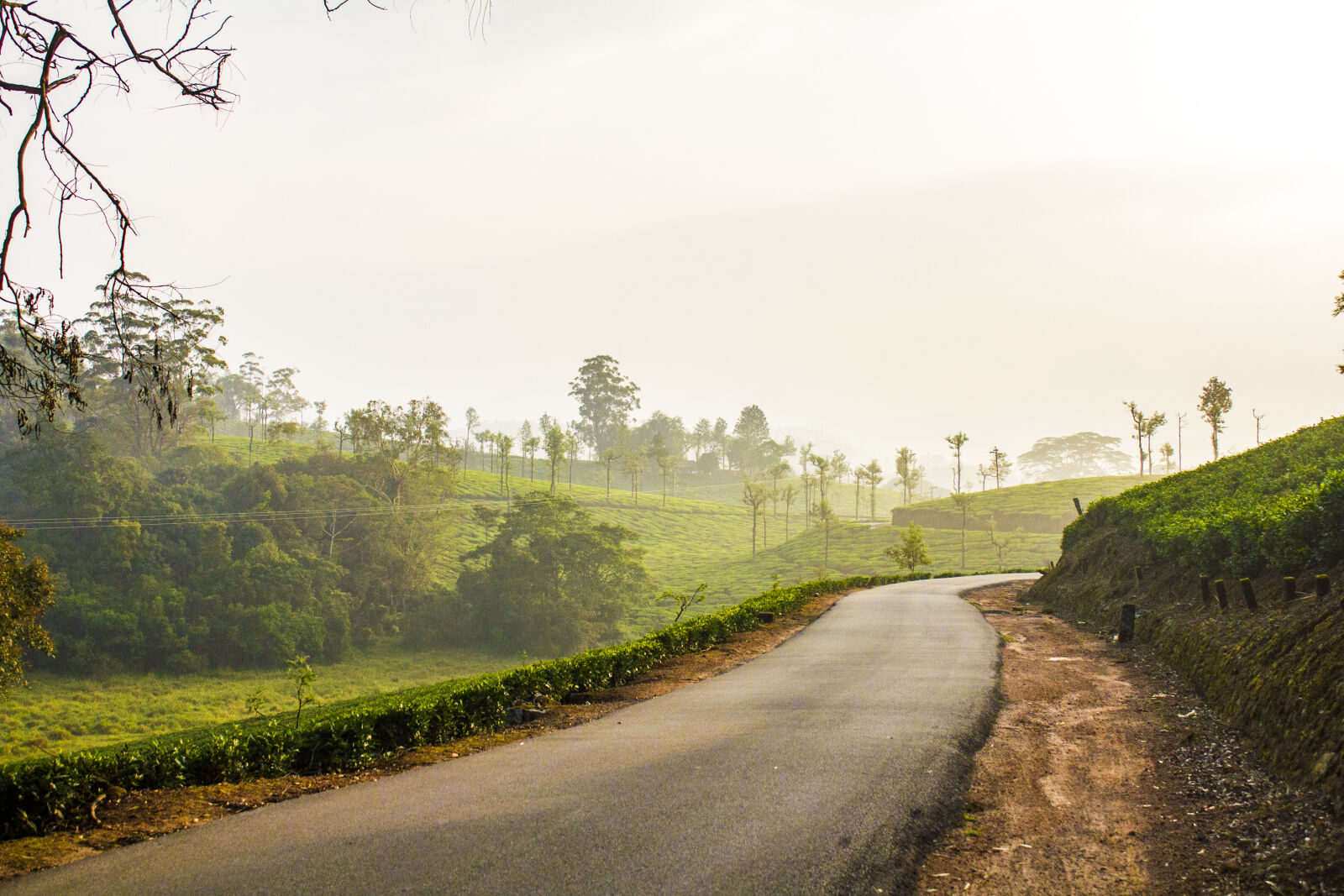 Canon EF-S 18-55mm F3.5-5.6 IS sample photo. Forest, hills, india, landscape photography