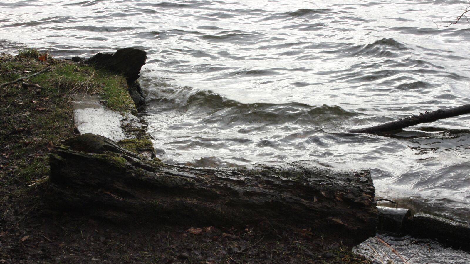 Canon EOS 600D (Rebel EOS T3i / EOS Kiss X5) sample photo. Talkin, tarn, cumbria photography
