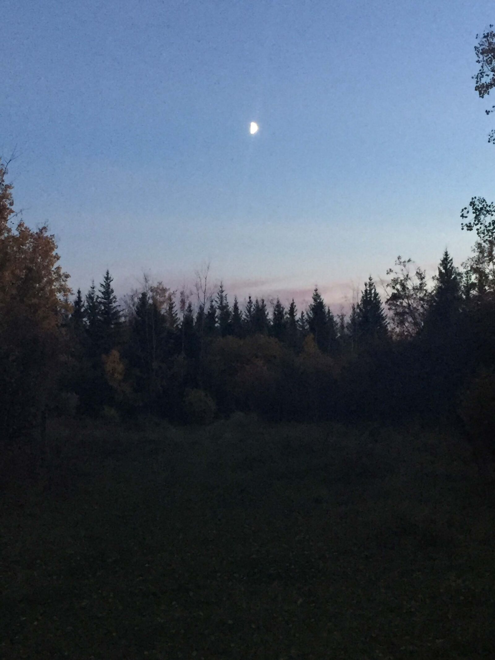 iPhone 6 back camera 4.15mm f/2.2 sample photo. Half, moon, moon, night photography